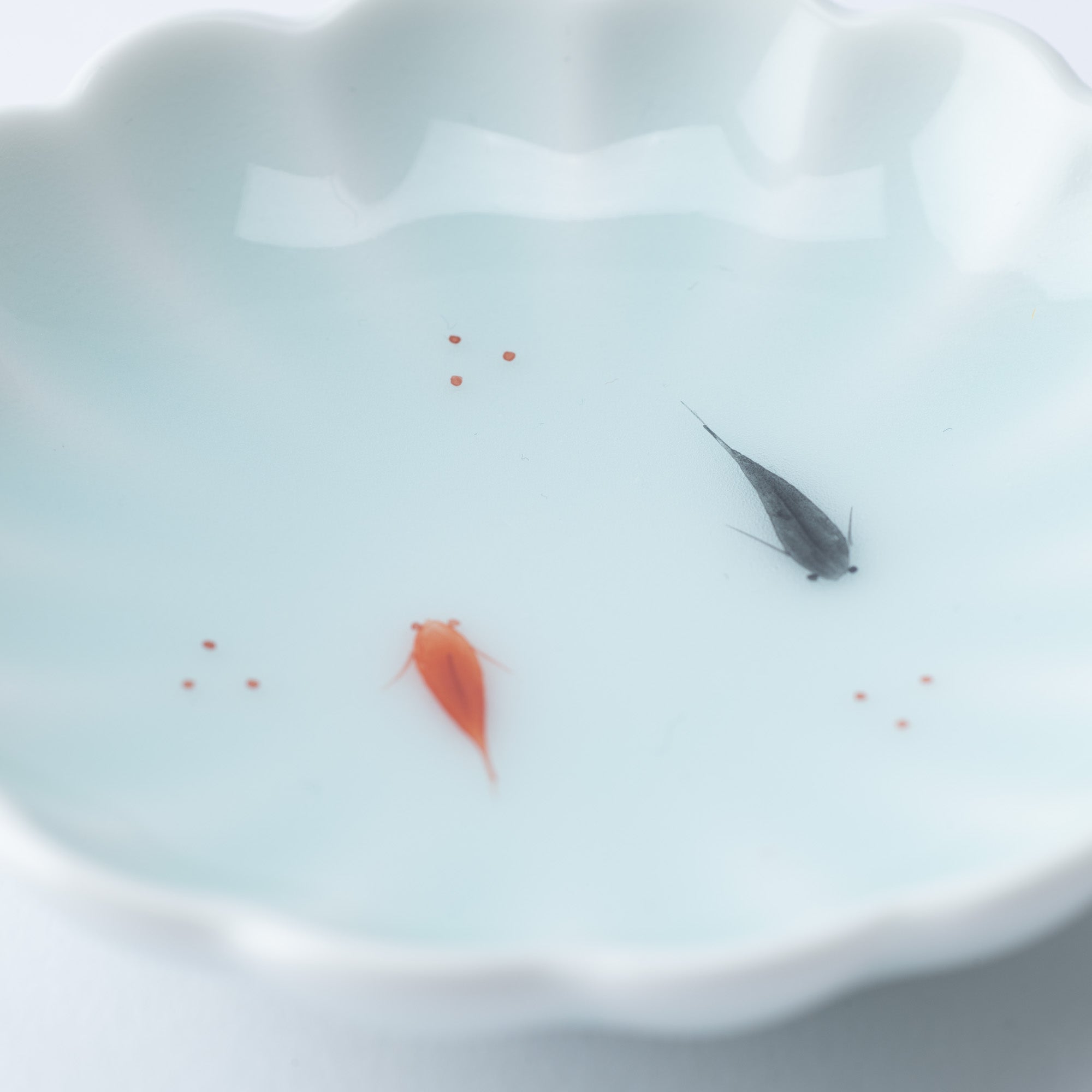 Musubi Mono Blue Breeze Dinnerware Set - MUSUBI KILN - Quality Japanese Tableware and Gift