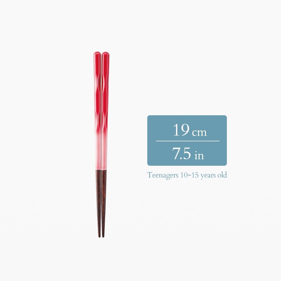 Perfect Fit Dishwasher Safe Wakasa Lacquer Chopsticks Red 15cm/5.9in - 22.5cm/8.9in - MUSUBI KILN - Quality Japanese Tableware and Gift