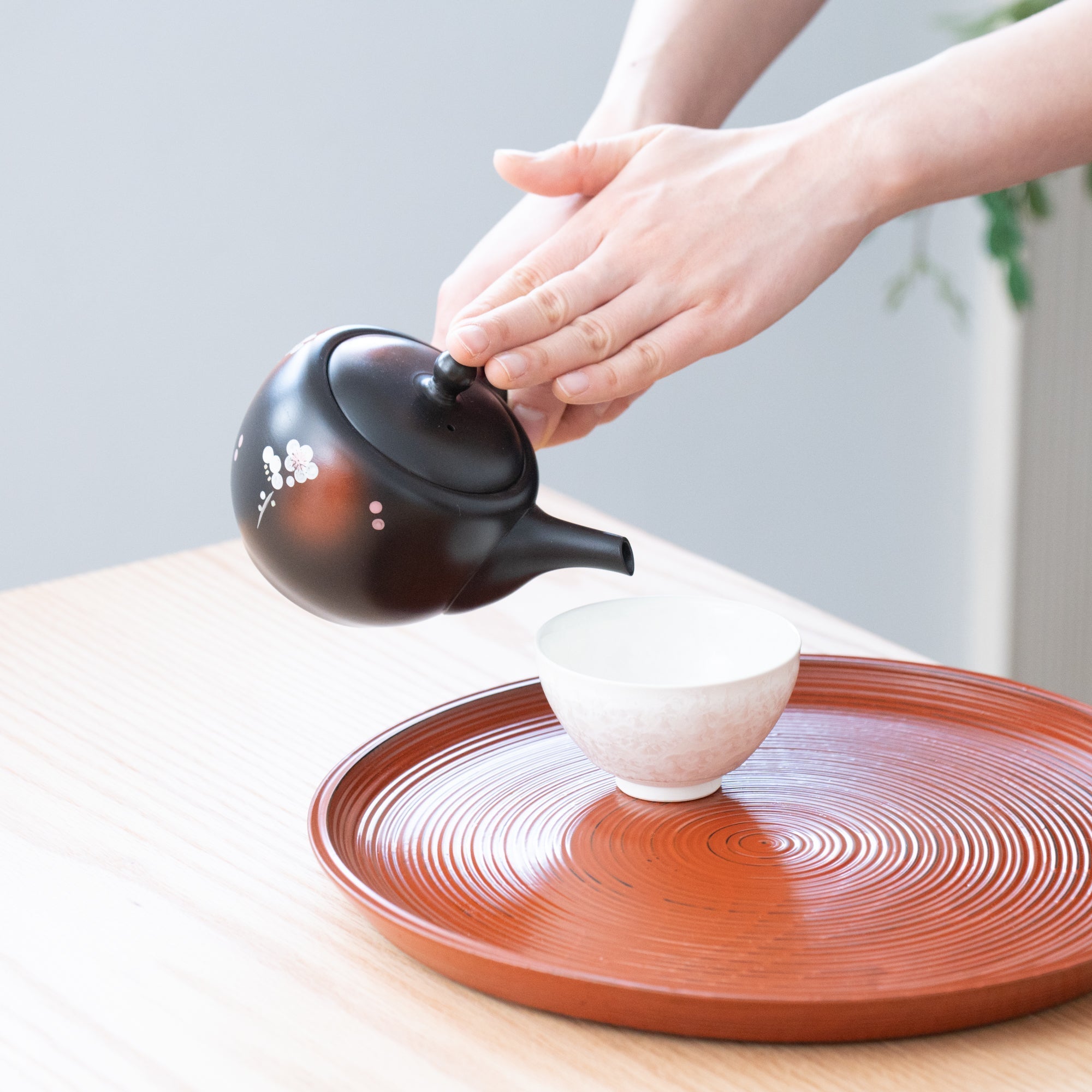 Syunju Weeping Sakura Tokoname Japanese Teapot 12.8oz(380ml) - Sasame and Ceramesh - MUSUBI KILN - Quality Japanese Tableware and Gift