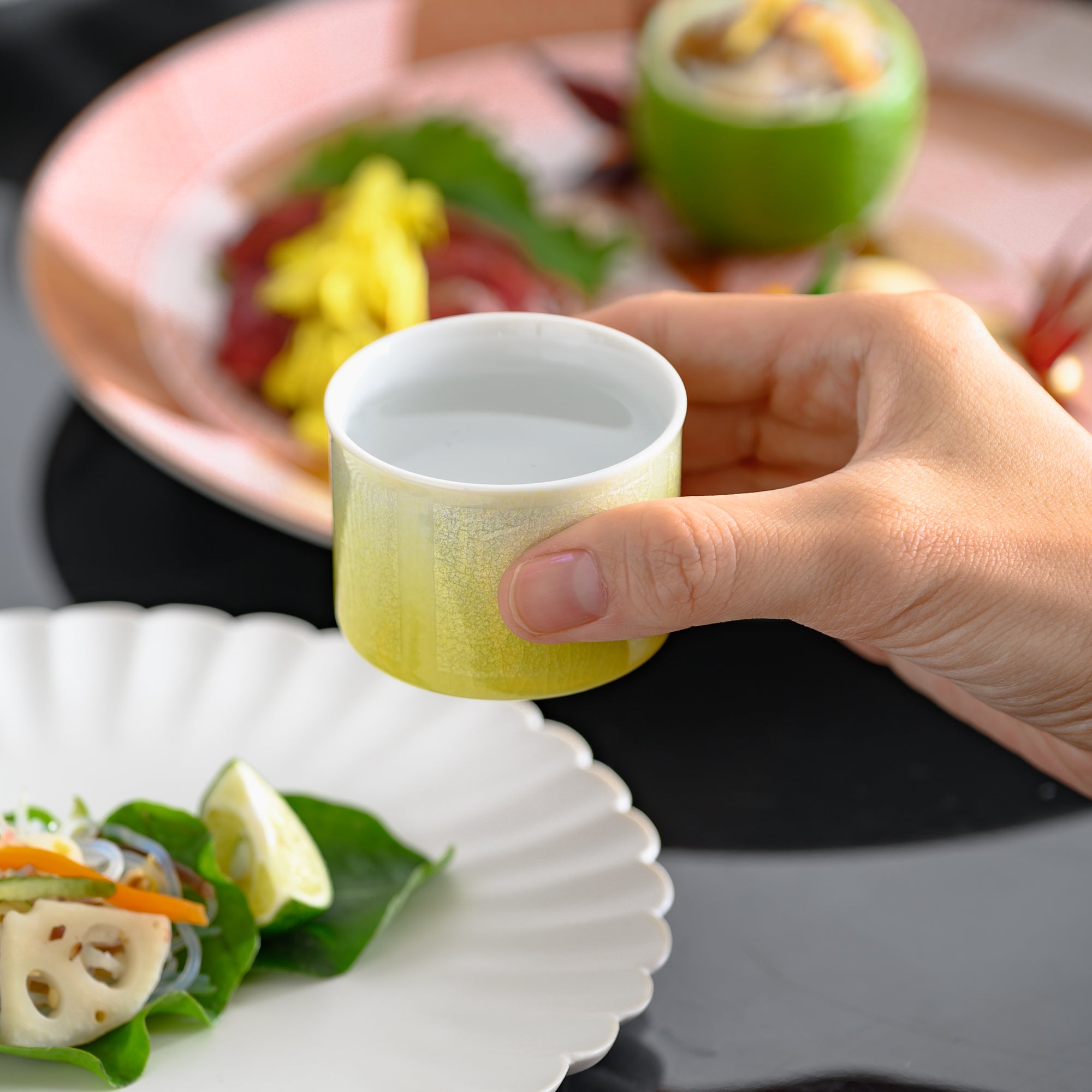 Juego de tazas de sake Ochoko de cinco colores Ginsai
