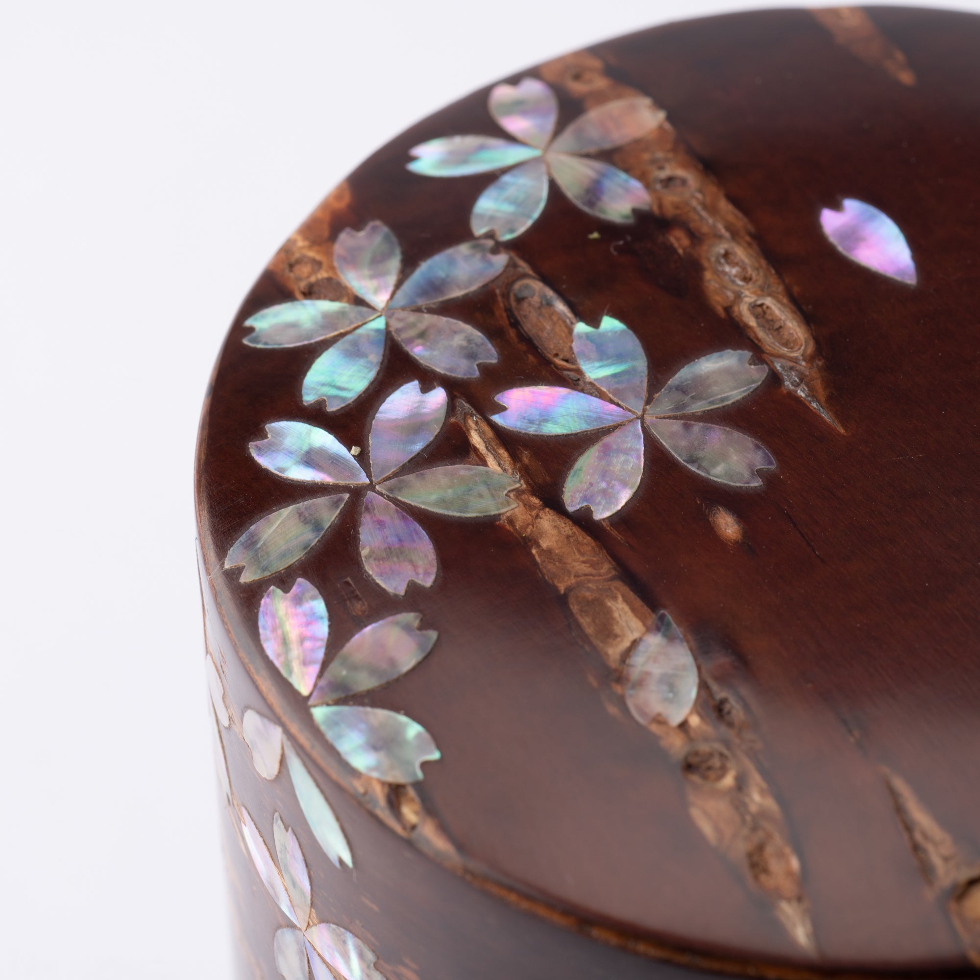 Yatsuyanagi Inlay Falling Sakura Akita Cherry Bark Work Tea Canister - MUSUBI KILN - Quality Japanese Tableware and Gift