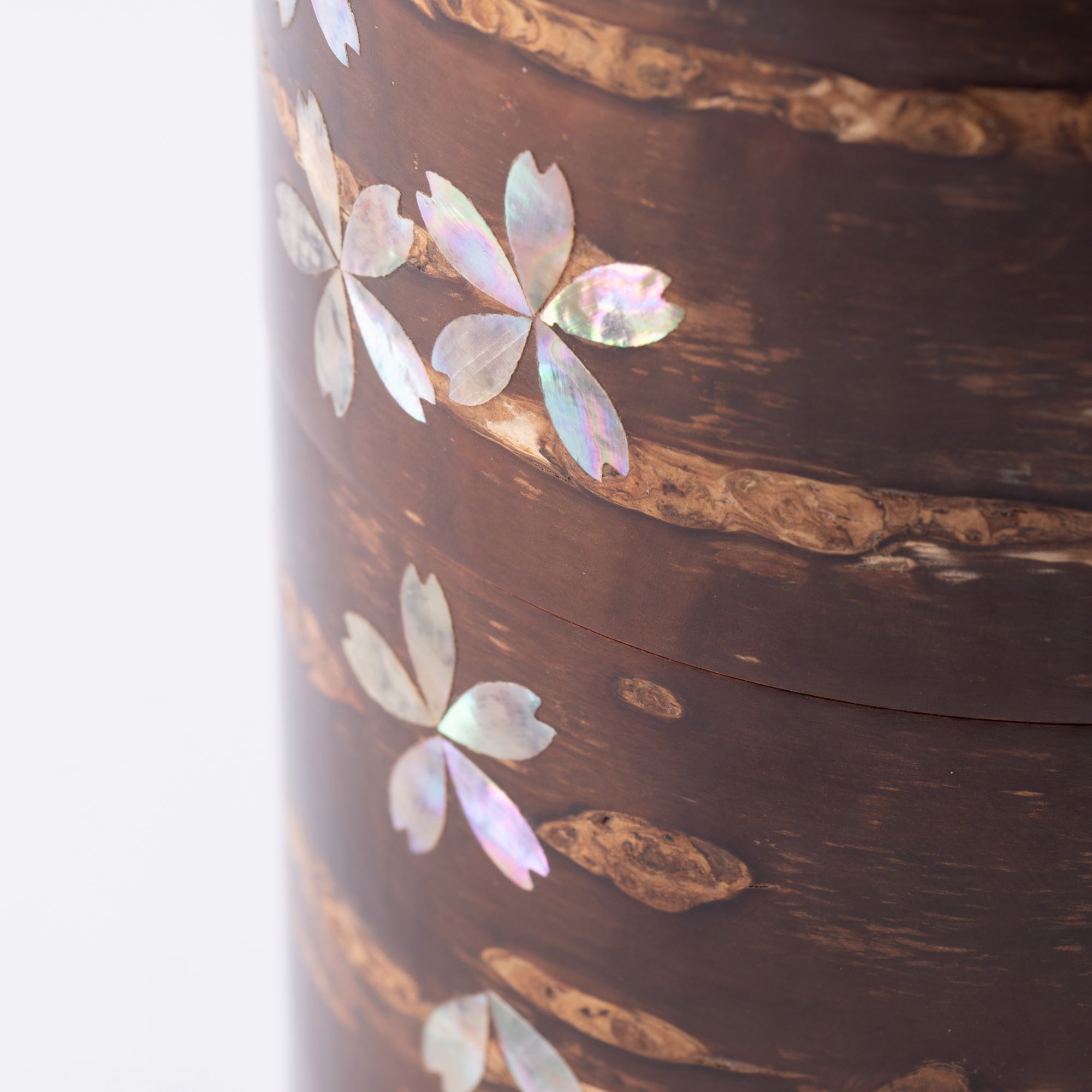 Yatsuyanagi Inlay Falling Sakura Akita Cherry Bark Work Tea Canister - MUSUBI KILN - Quality Japanese Tableware and Gift