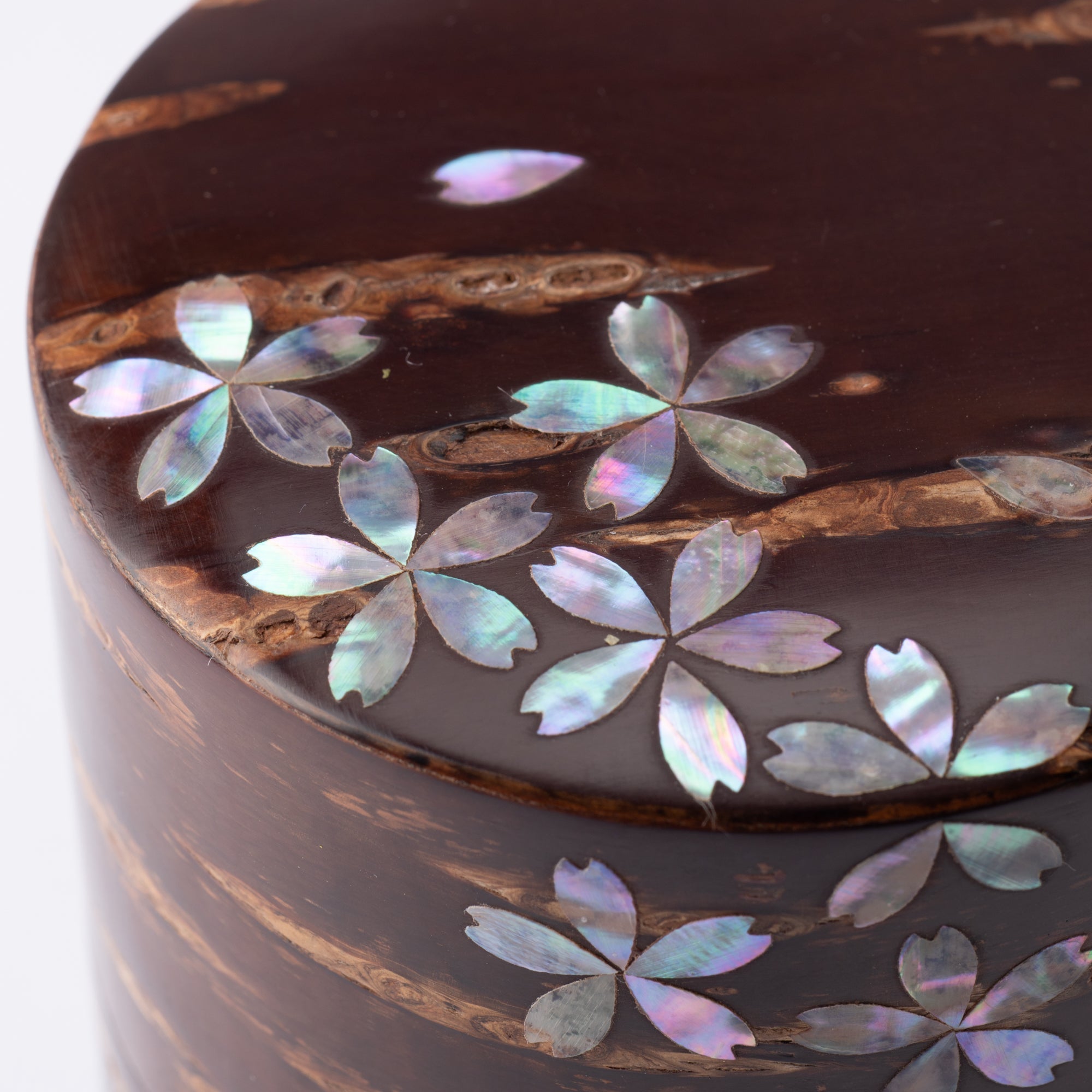Yatsuyanagi Inlay Falling Sakura Akita Cherry Bark Work Tea Canister - MUSUBI KILN - Quality Japanese Tableware and Gift