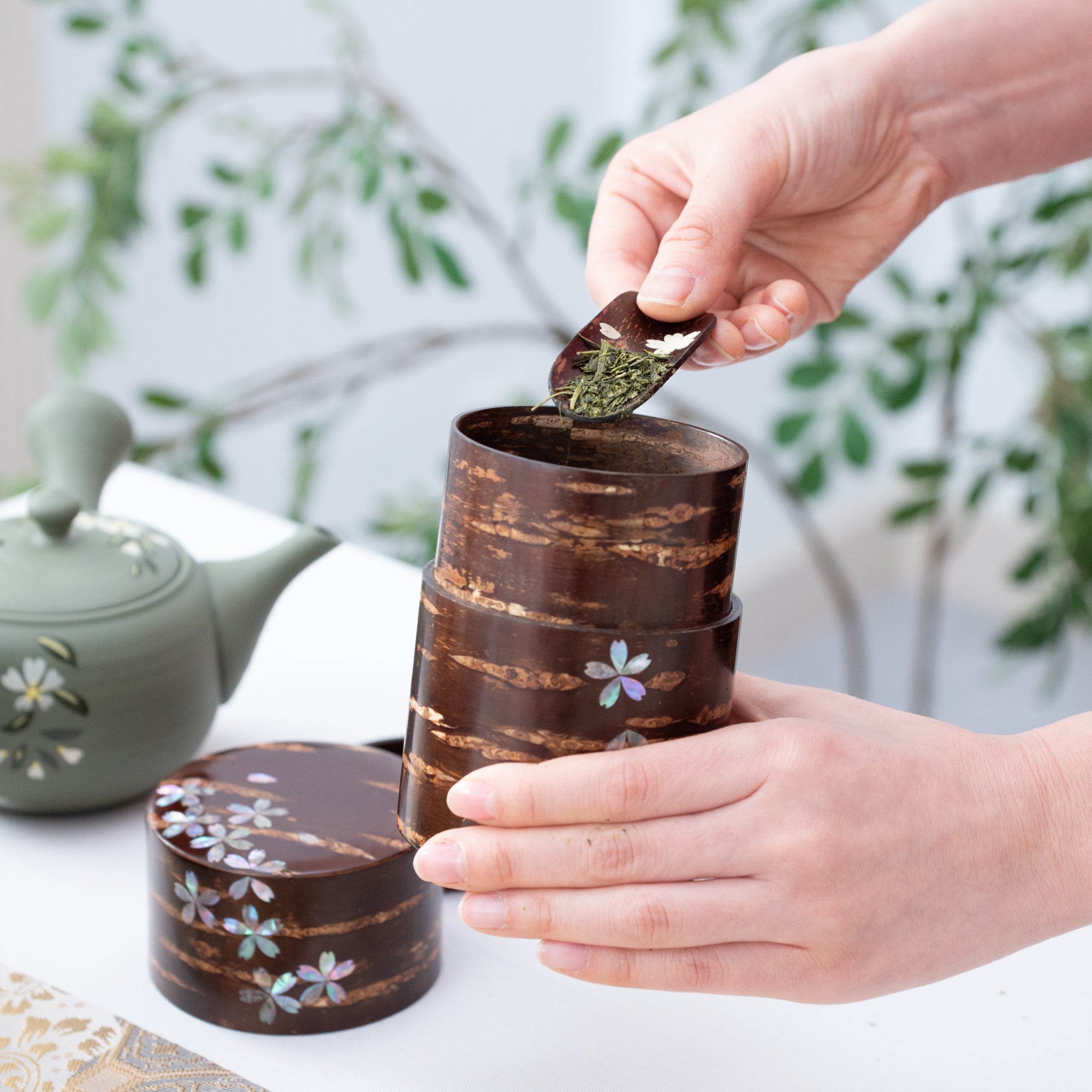 Yatsuyanagi Inlay Falling Sakura Akita Cherry Bark Work Tea Canister - MUSUBI KILN - Quality Japanese Tableware and Gift