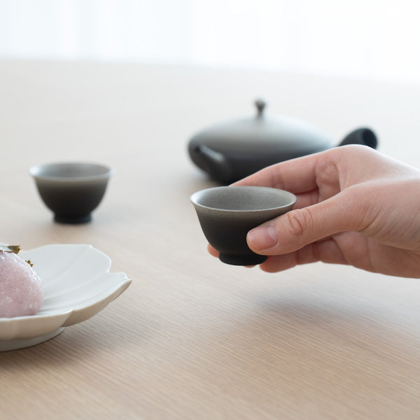 Junzo Black And White Gradation Tokoname Japanese Teapot Set 3.4oz(100ml)-Sasame and Ceramesh