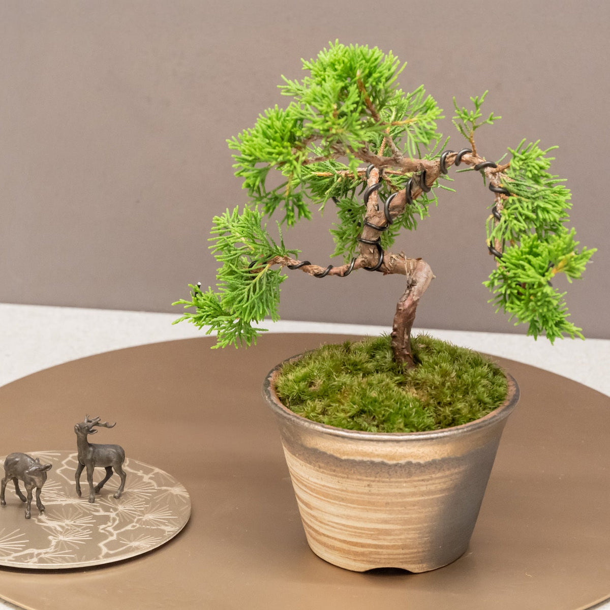 glcksbaum bonsai Bonsai mit konserviertem Moos - Glcksbaum Tischdekoration fr Zuhause