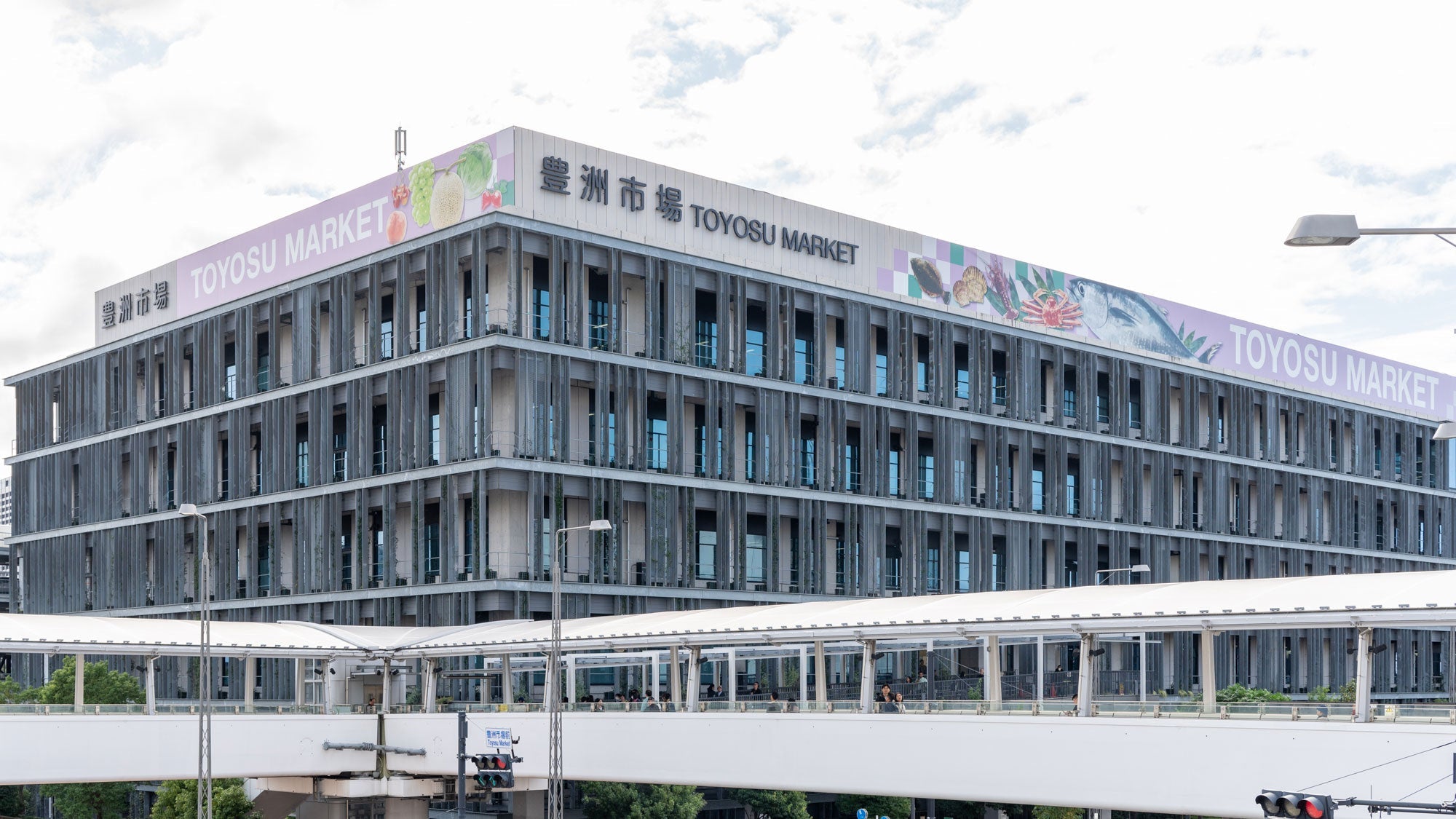 Tokyo's Toyosu Market: Stories from the World's Largest Fish Market