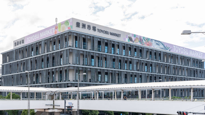 Tokyo's Toyosu Market: Stories from the World's Largest Fish Market
