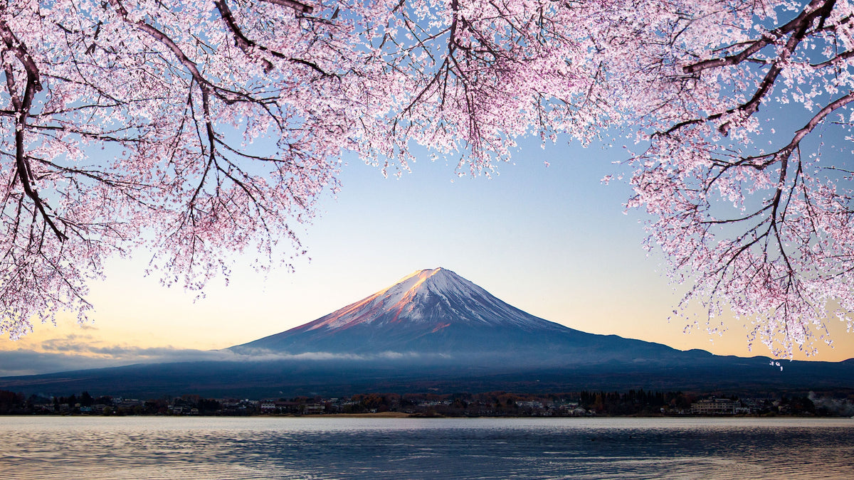 Symbols of Spring in Japan: Seasonal Motifs to Know