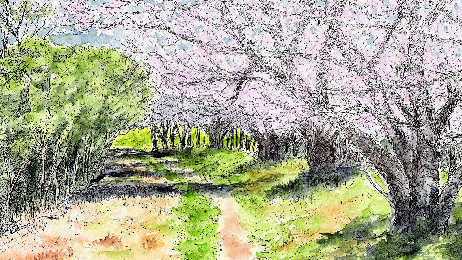 Ask the Staff: Places to Visit in Spring