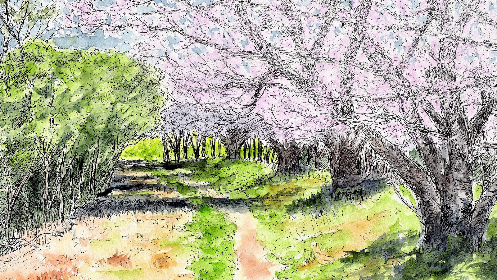 Ask the Staff: Places to Visit in Spring
