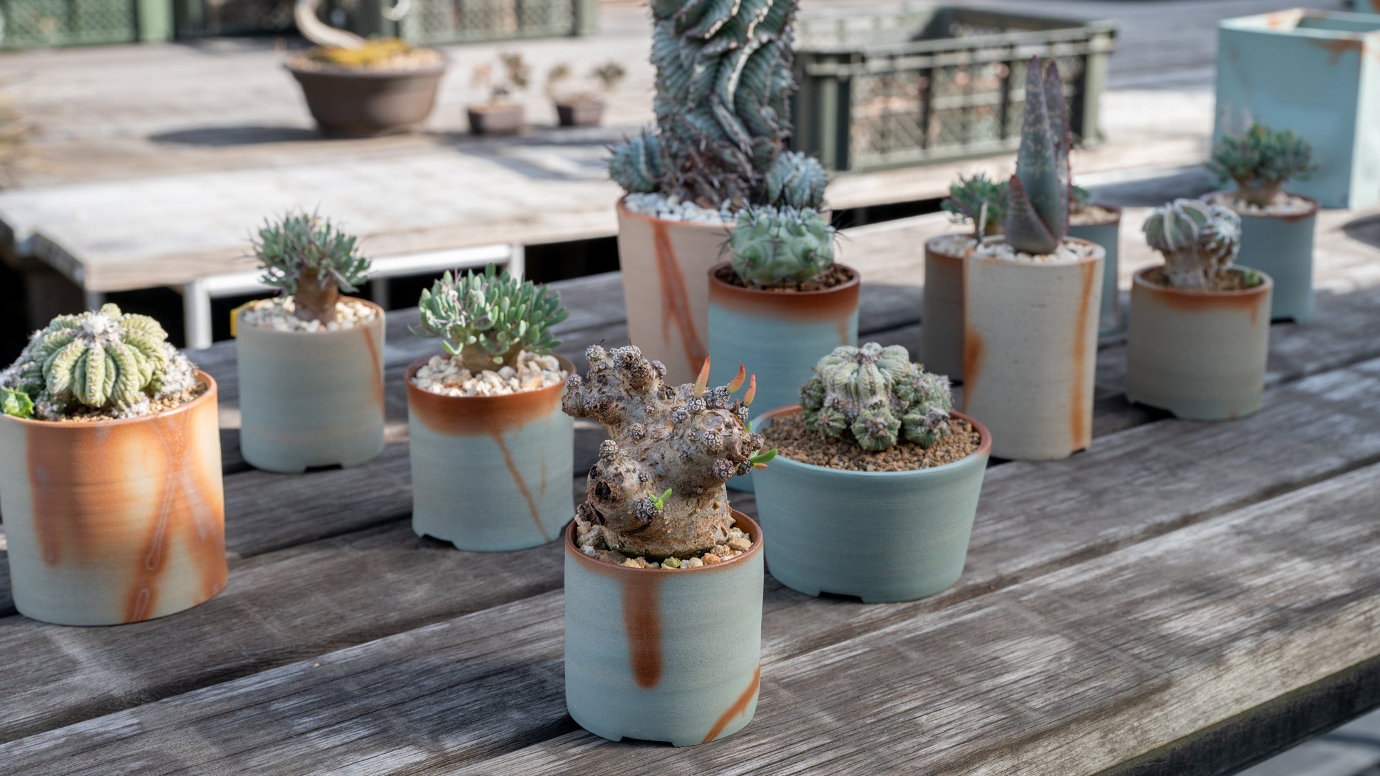 Recycling Bizen Ware into Plant Pots