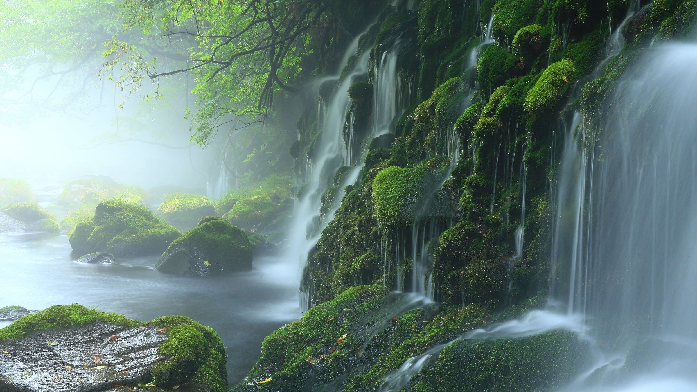 Water Cuisine: How Soft Water Shapes Japan’s Traditional Food Culture