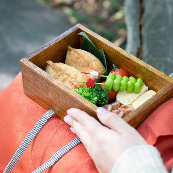 Bento Lunch Box Guide:Tips for a perfect Japanese lunch box - Chopstick  Chronicles