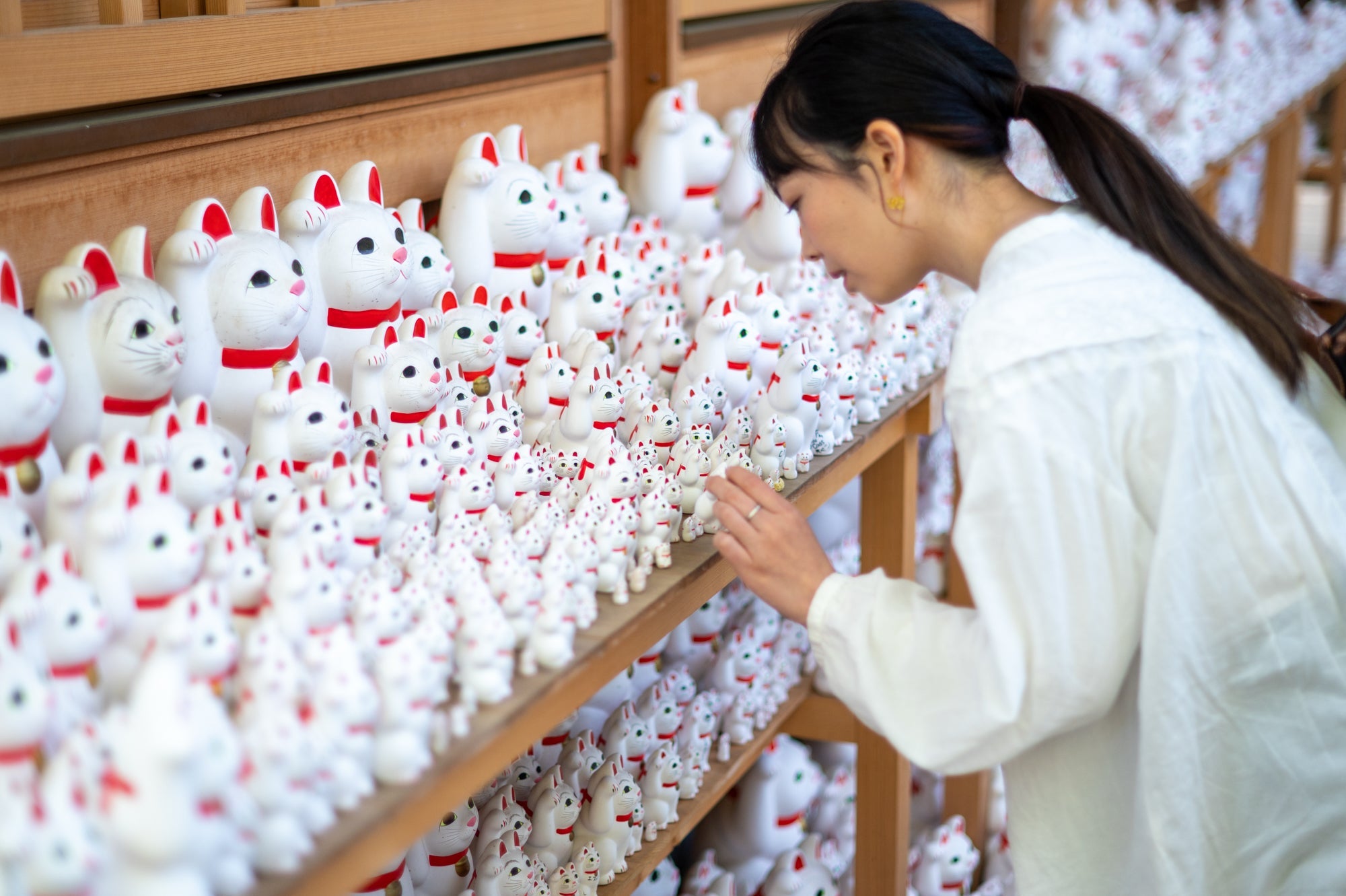 Gotokuji: Tokyo’s Famous Lucky Cat Temple - MUSUBI KILN