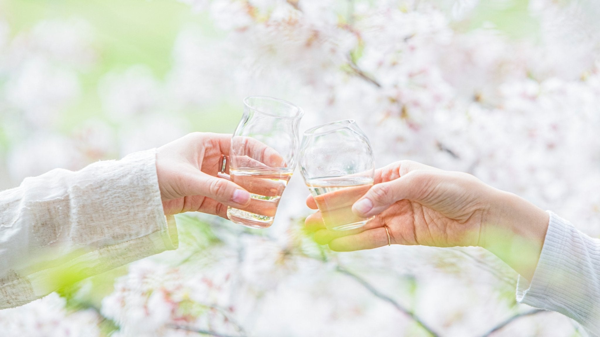 "Hanami" Sakura Viewing Party: Cherishing the tradition of beautiful Japanese spring - MUSUBI KILN