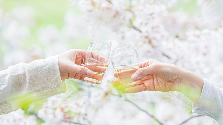 All About Hanami: Sakura Viewing Parties