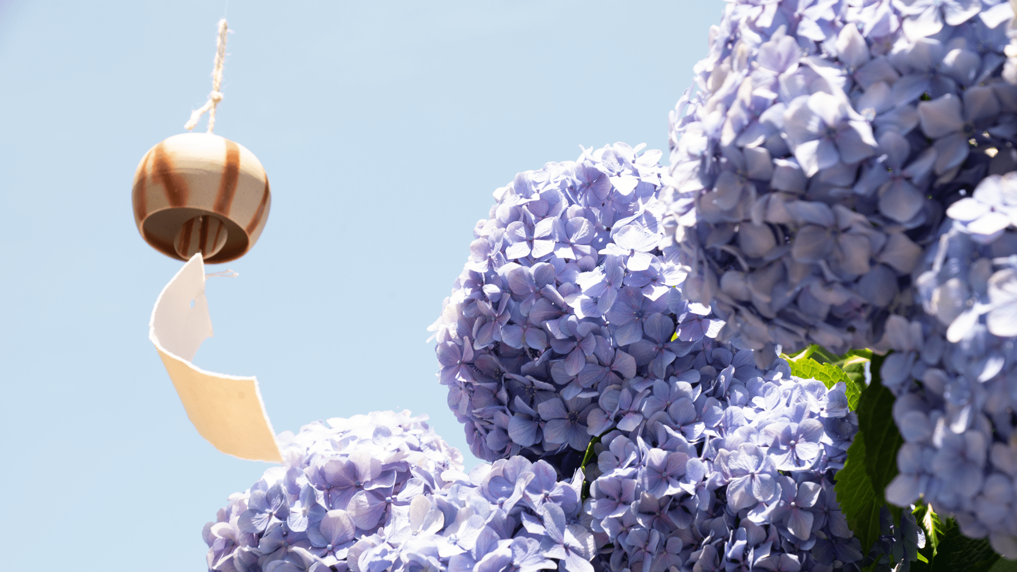 Sunlit Geshi: Observing Japan's Summer Solstice - MUSUBI KILN