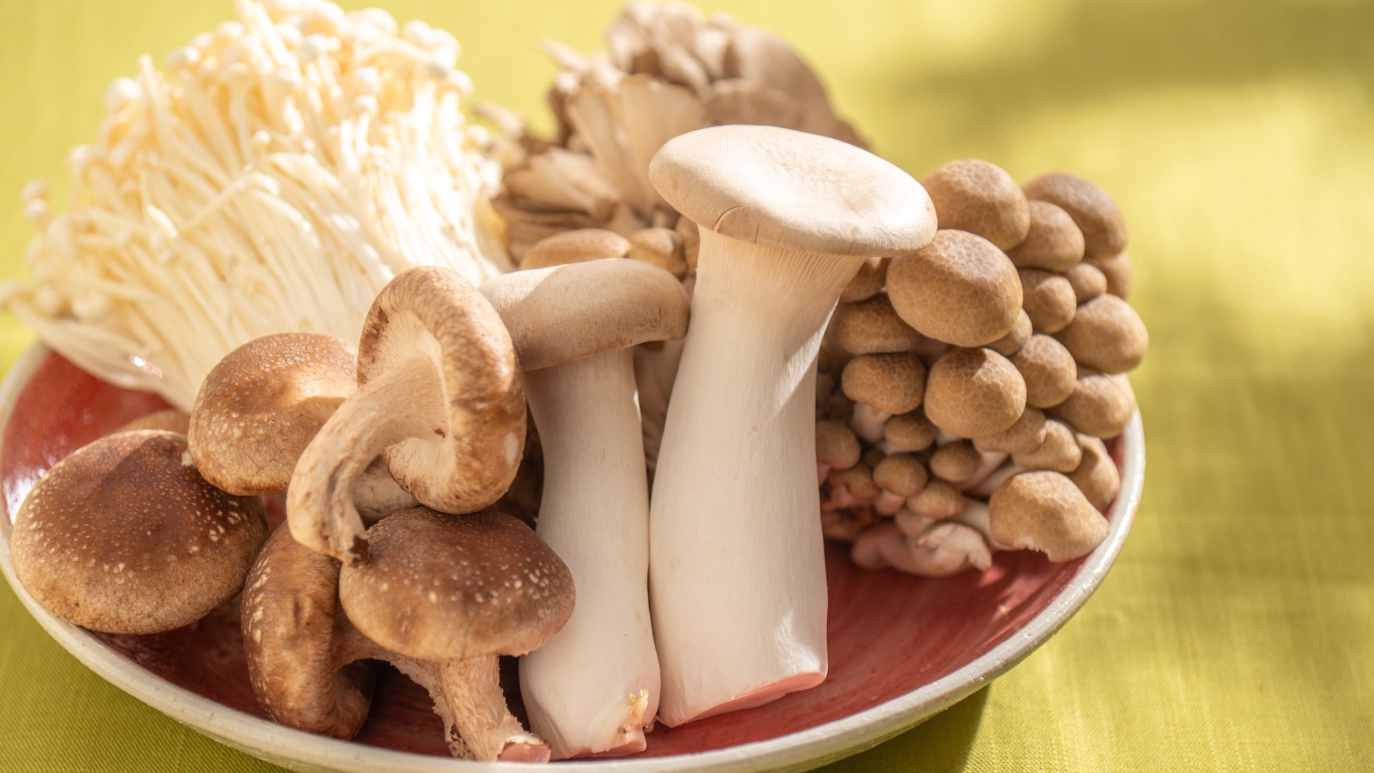 The Nutritious Magic of Japanese Mushrooms