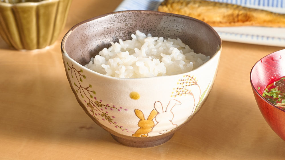 Shimesaba Rice Bowl Japanese Rice Bowls