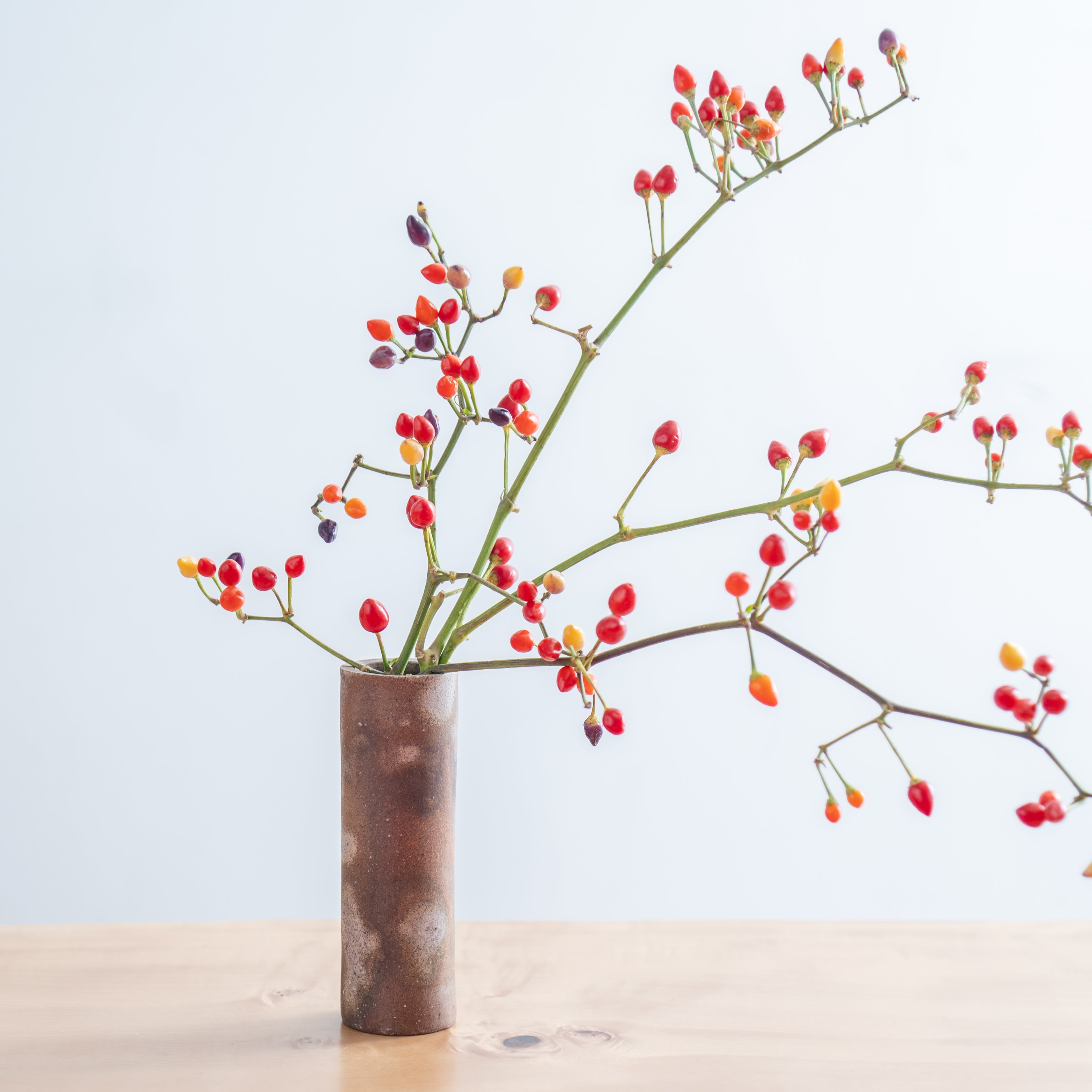 Sangiri Hanging Flower Vase