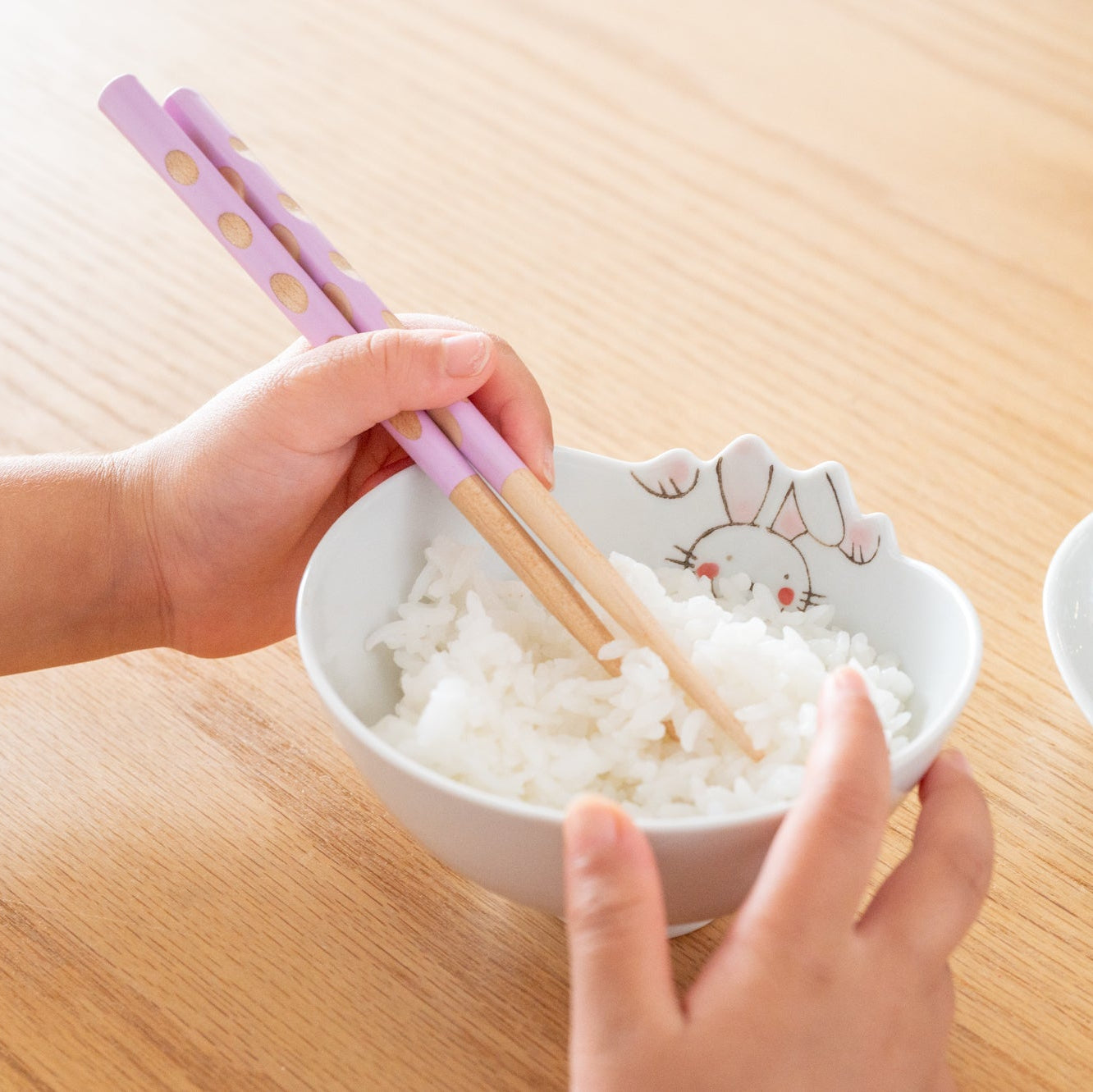 Rim-Peeking Animals Designed Japanese Rice Bowl