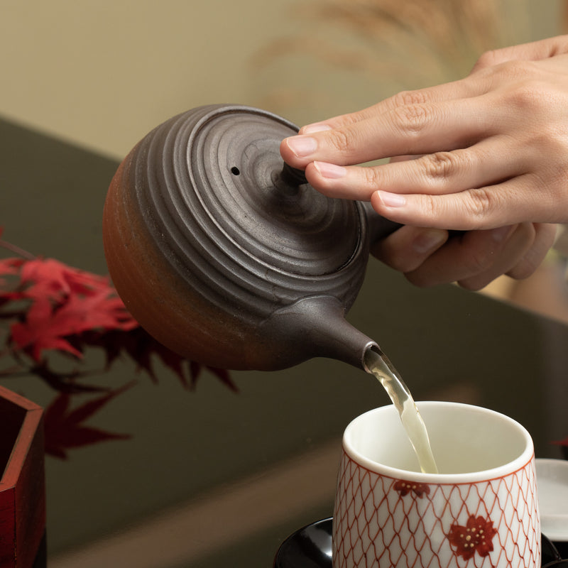 Isshin Brown and Red Tokoname Japanese Teapot 10.8oz(320ml)-Sasame and Ceramesh