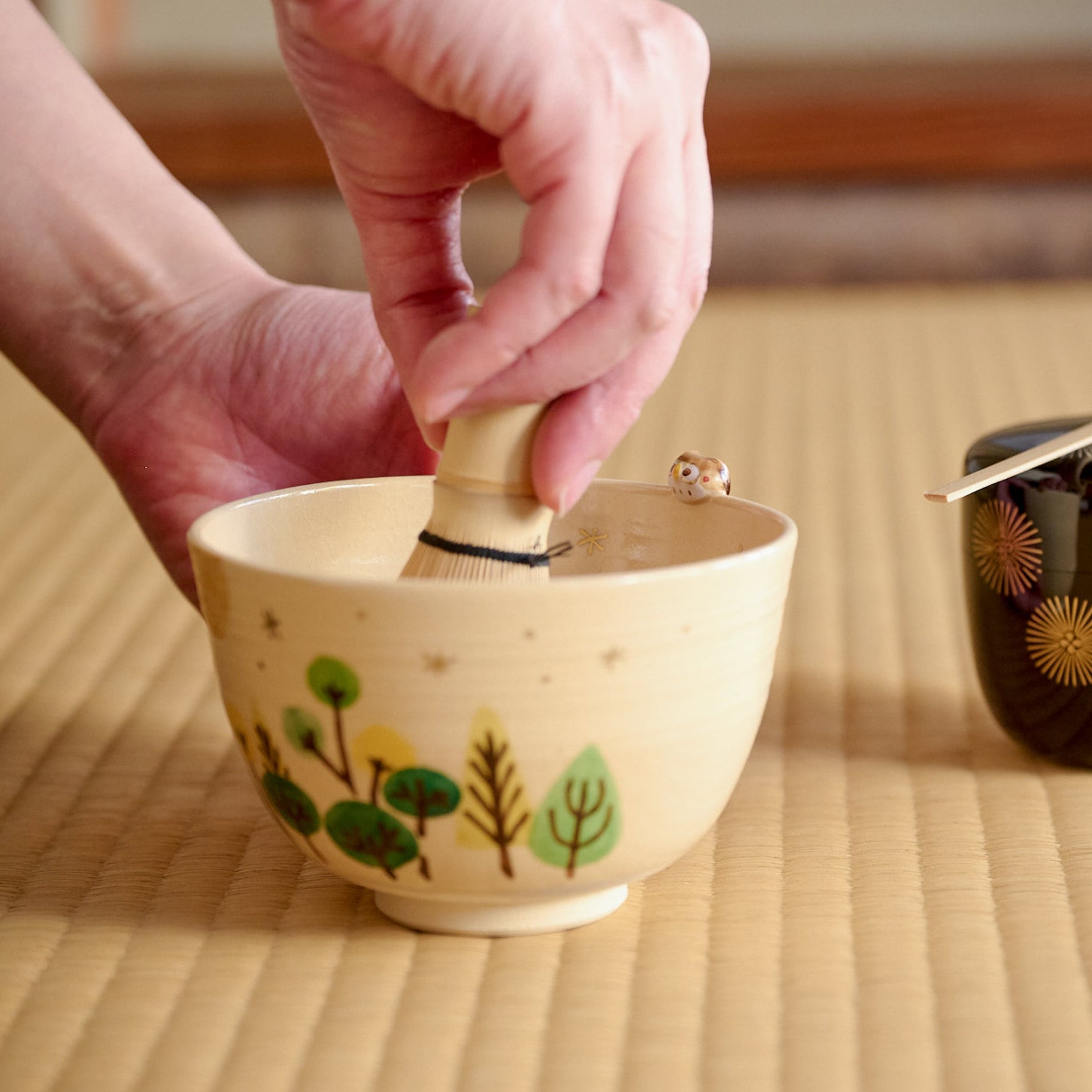 Forest and Peeking Owl Matcha Bowl