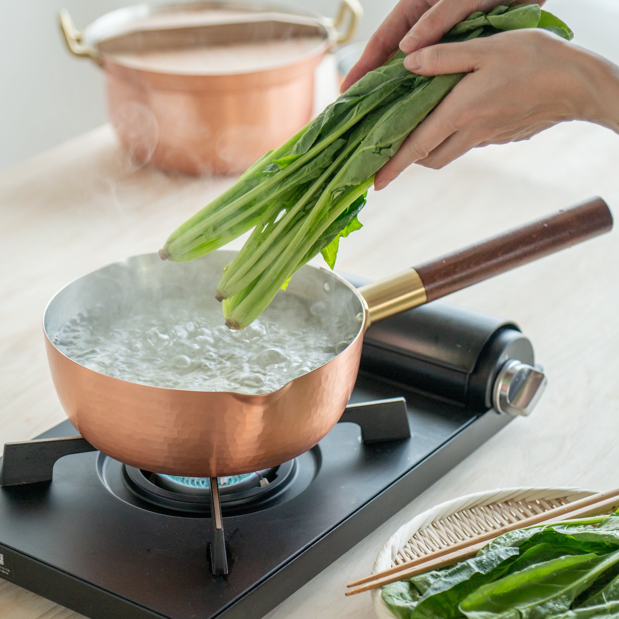 Copper Yukihira Pot
