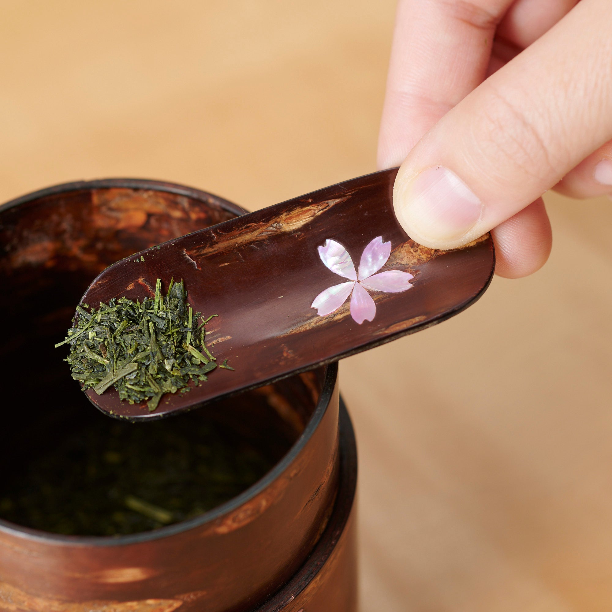 Pink Shell Inlay Sakura Chasaji Teaspoon