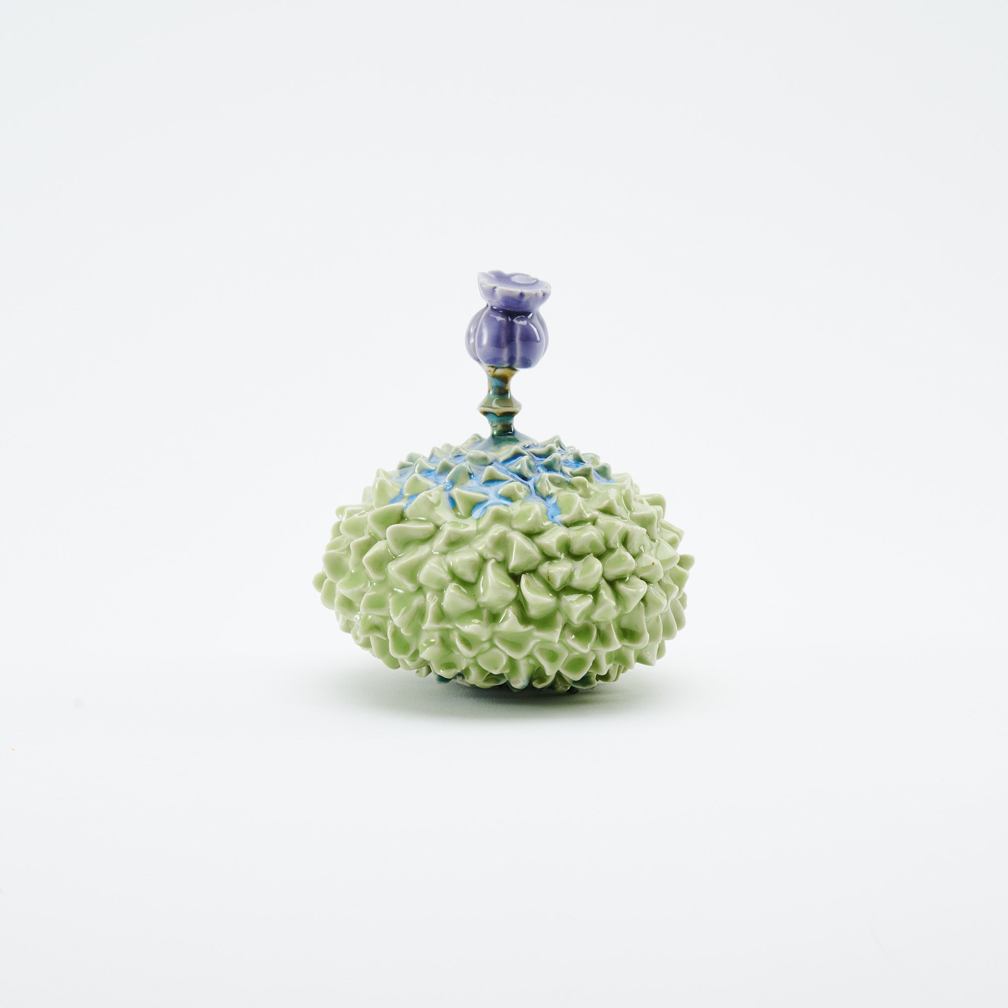 Botanical Textures Objet d'Art 2
