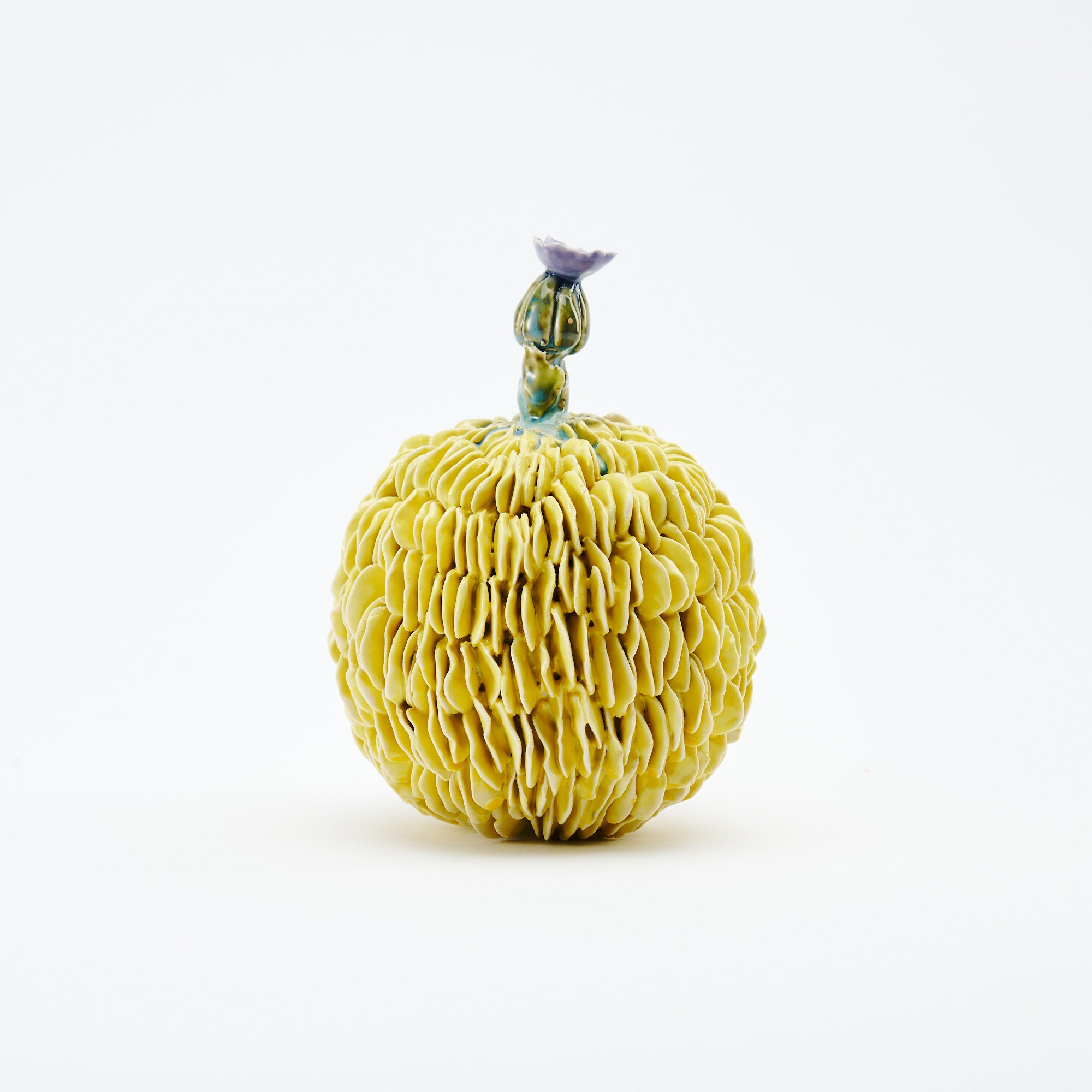 Botanical Textures Objet d'Art 18