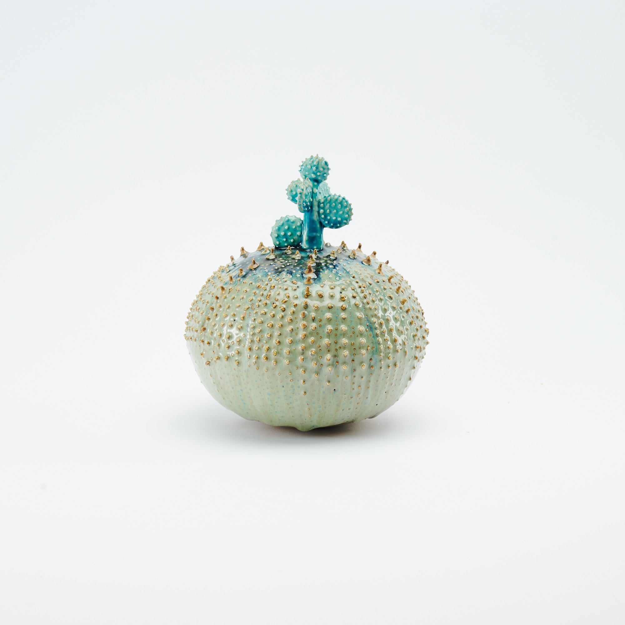 Marine Textures Objet d'Art 22