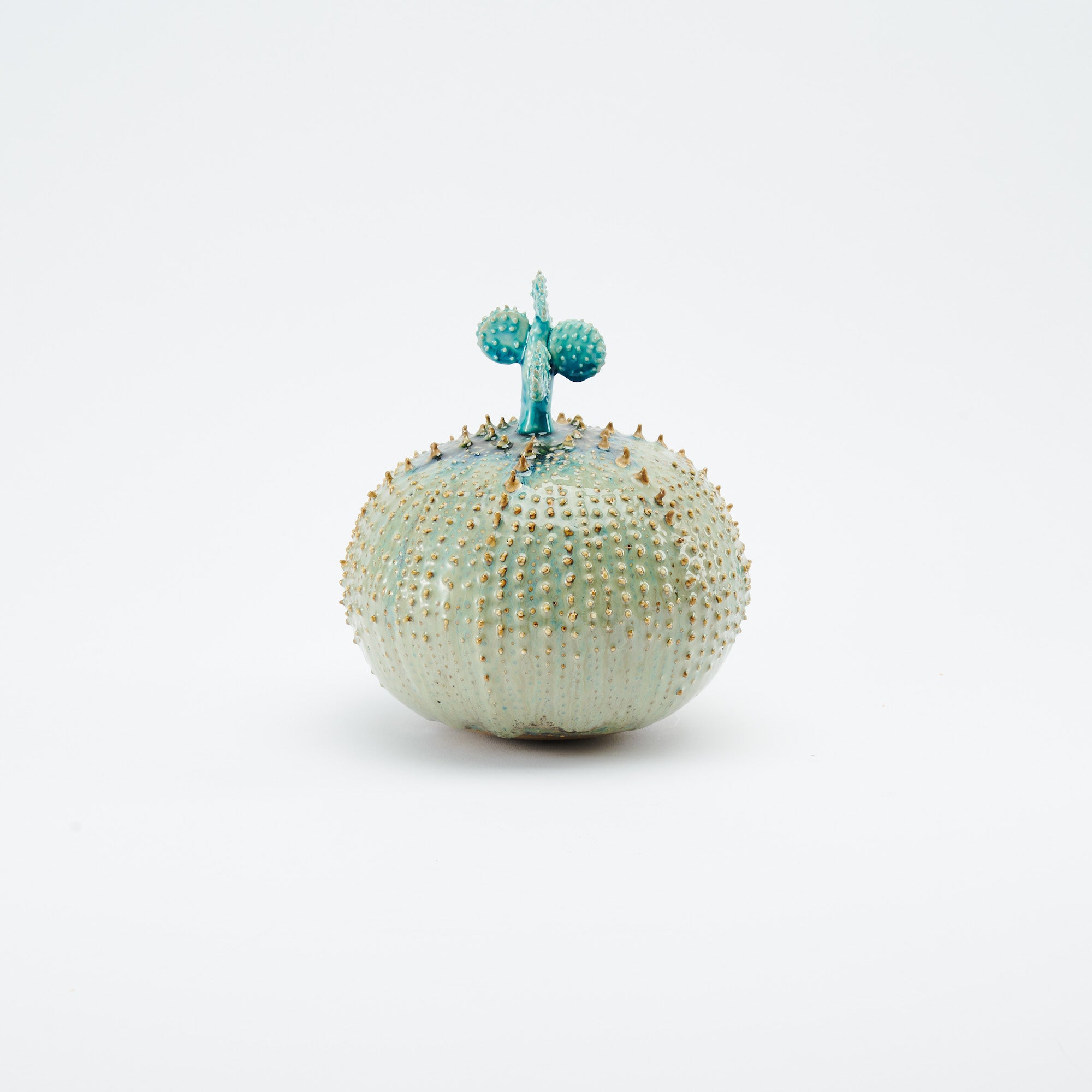 Marine Textures Objet d'Art 22