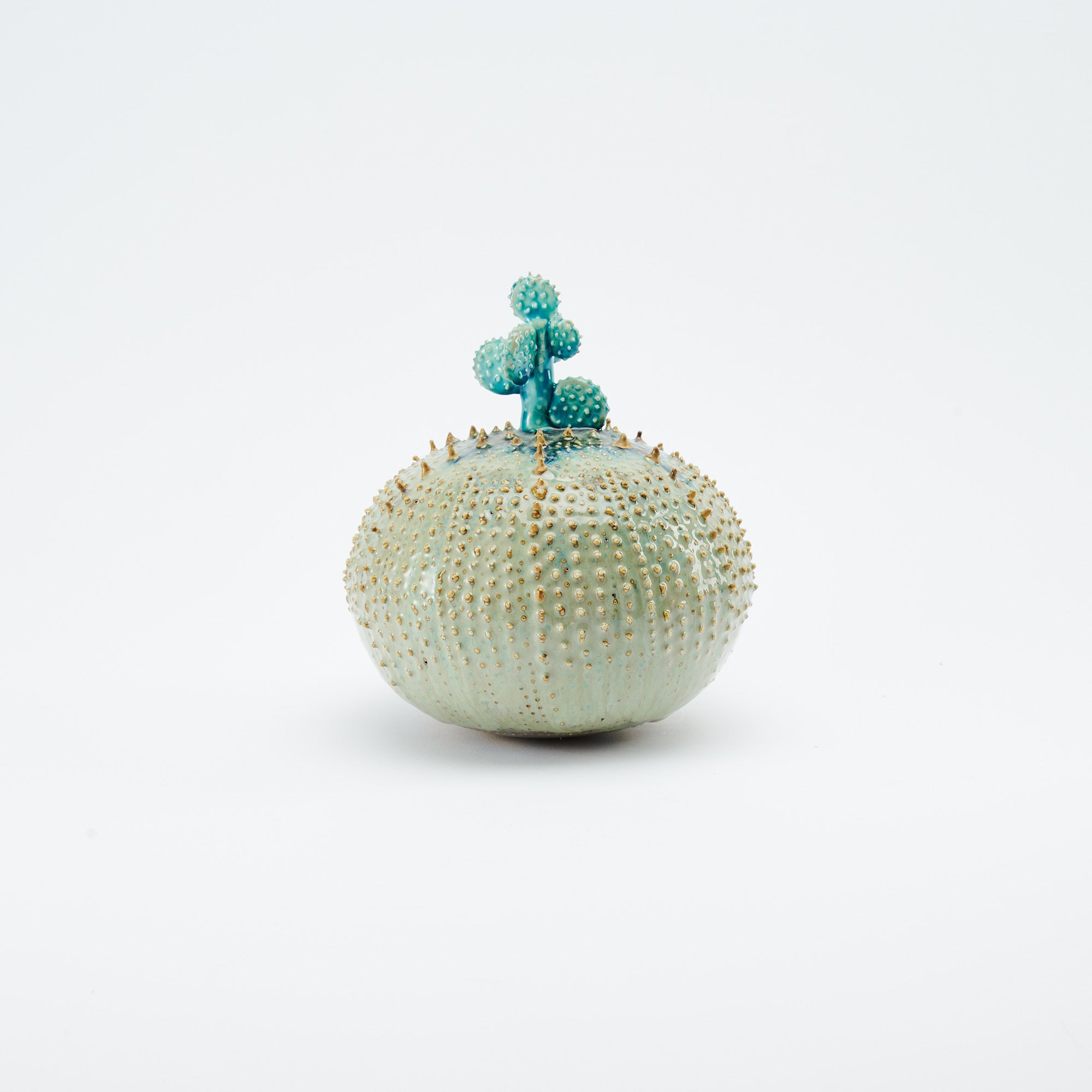 Marine Textures Objet d'Art 22