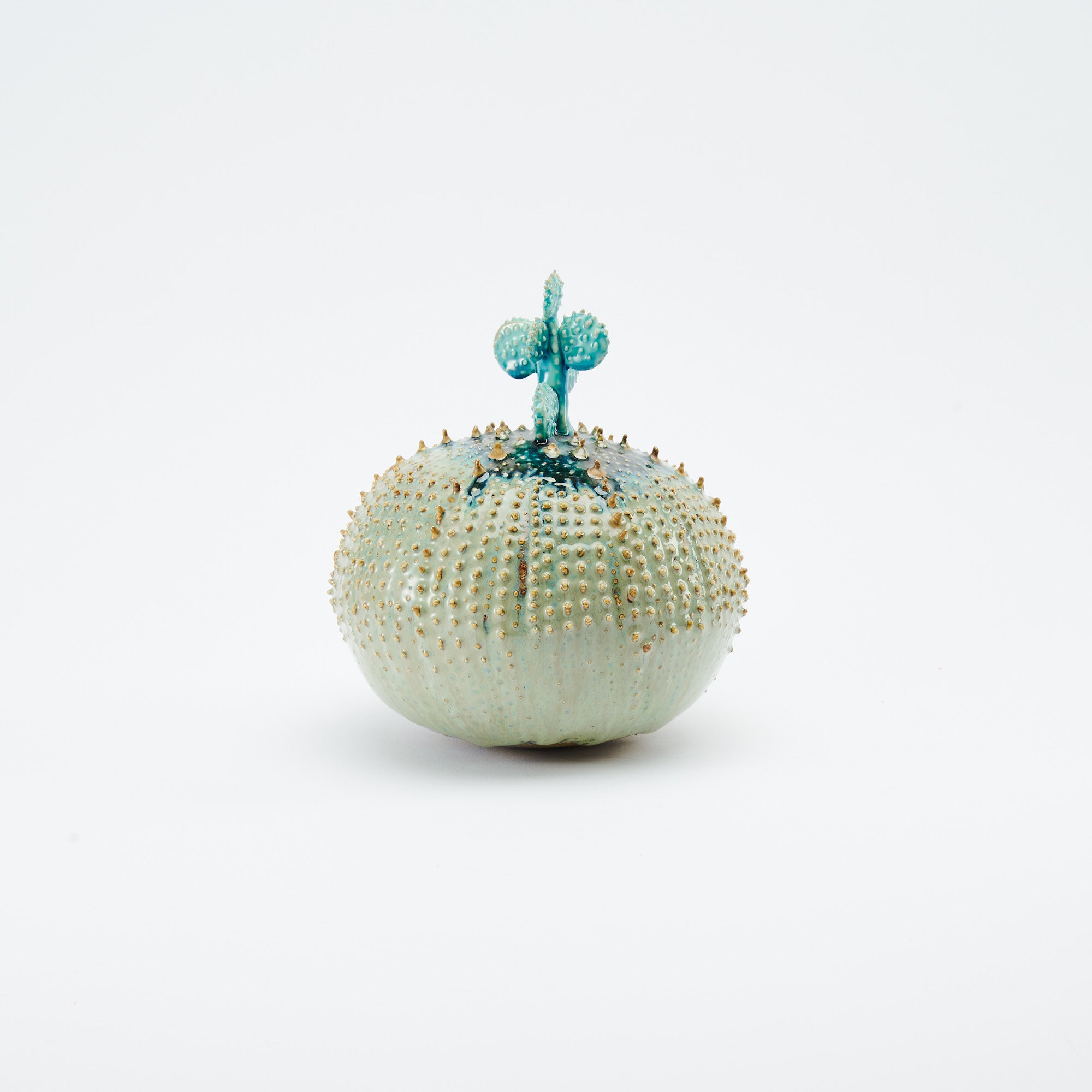 Marine Textures Objet d'Art 22