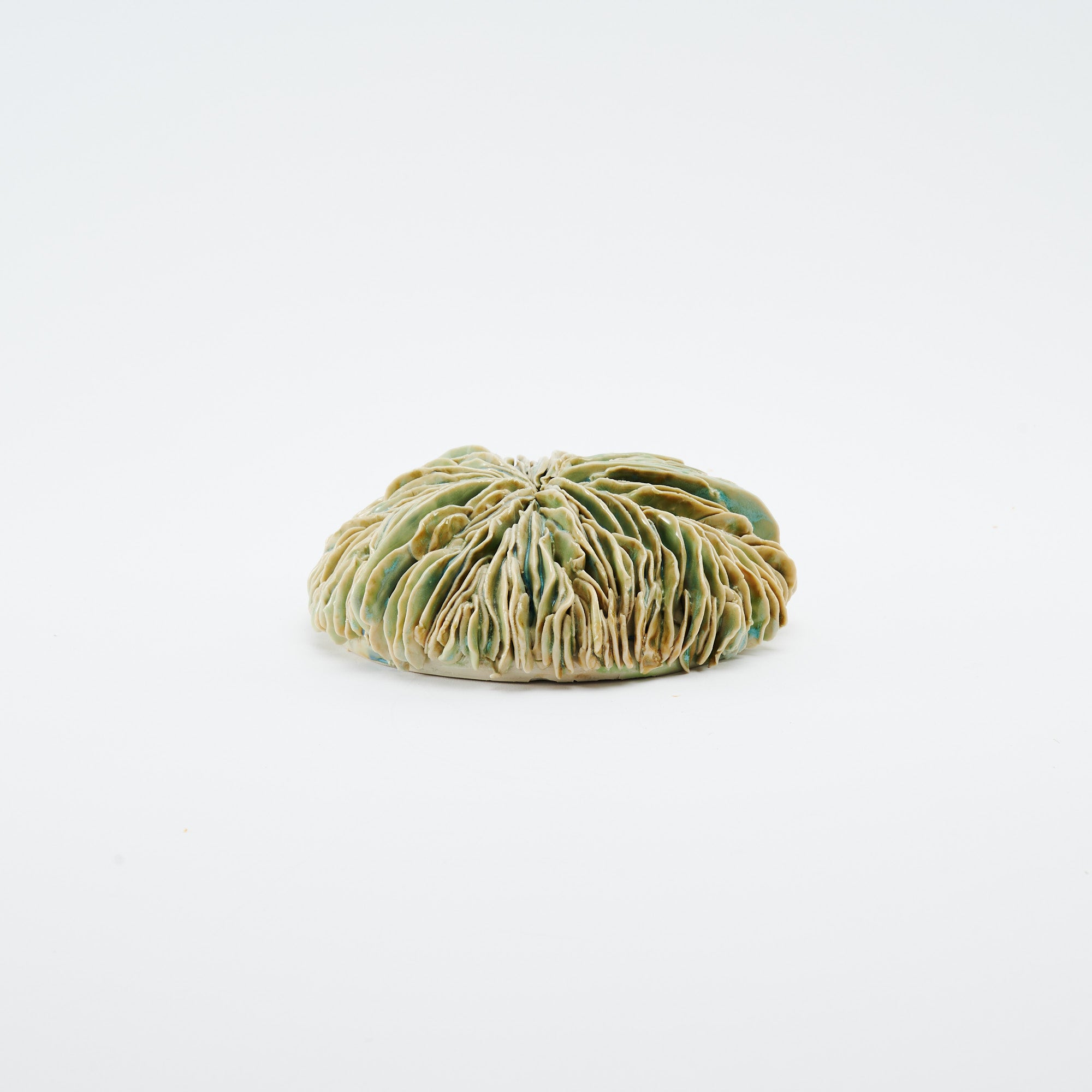 Marine Textures Objet d'Art 27