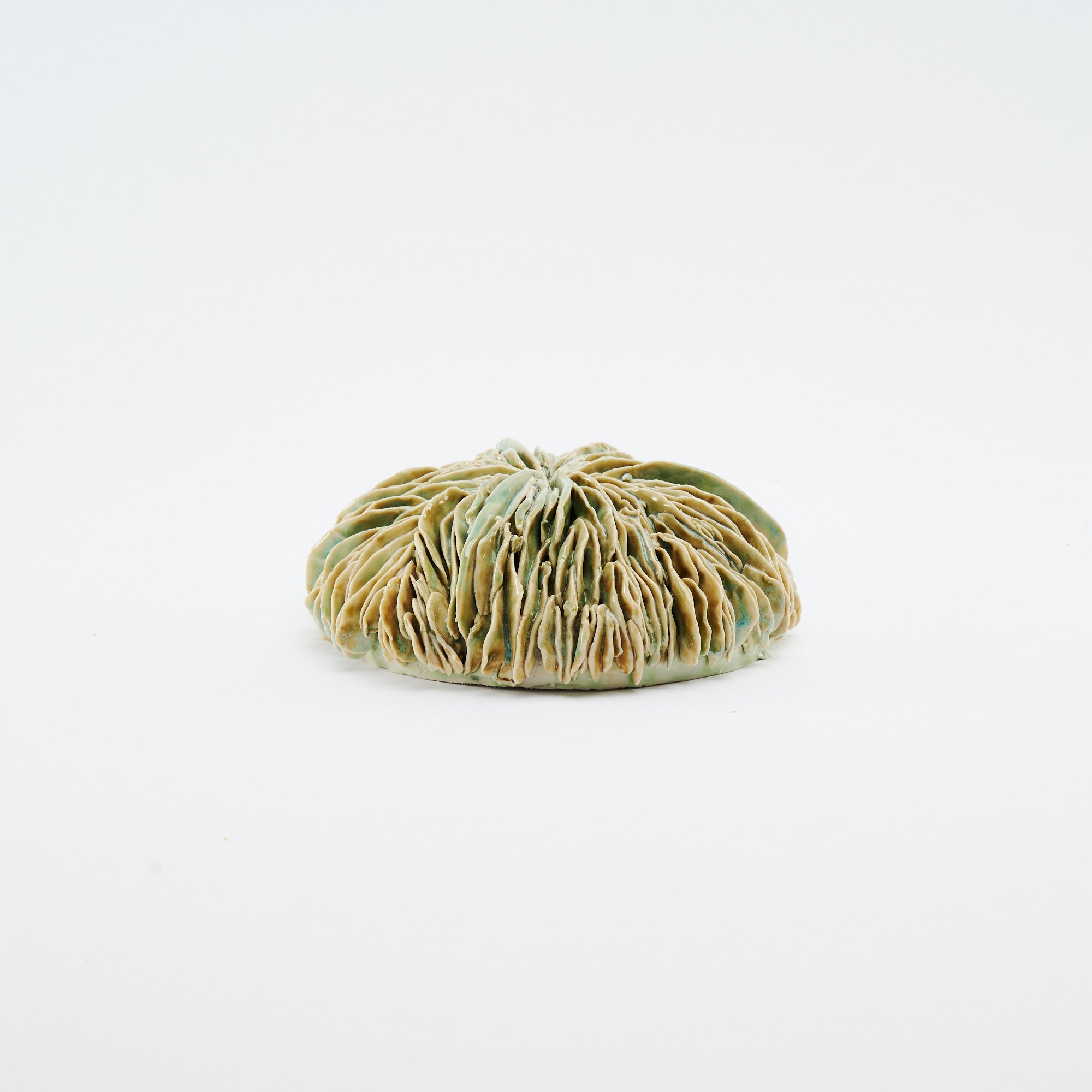 Marine Textures Objet d'Art 27