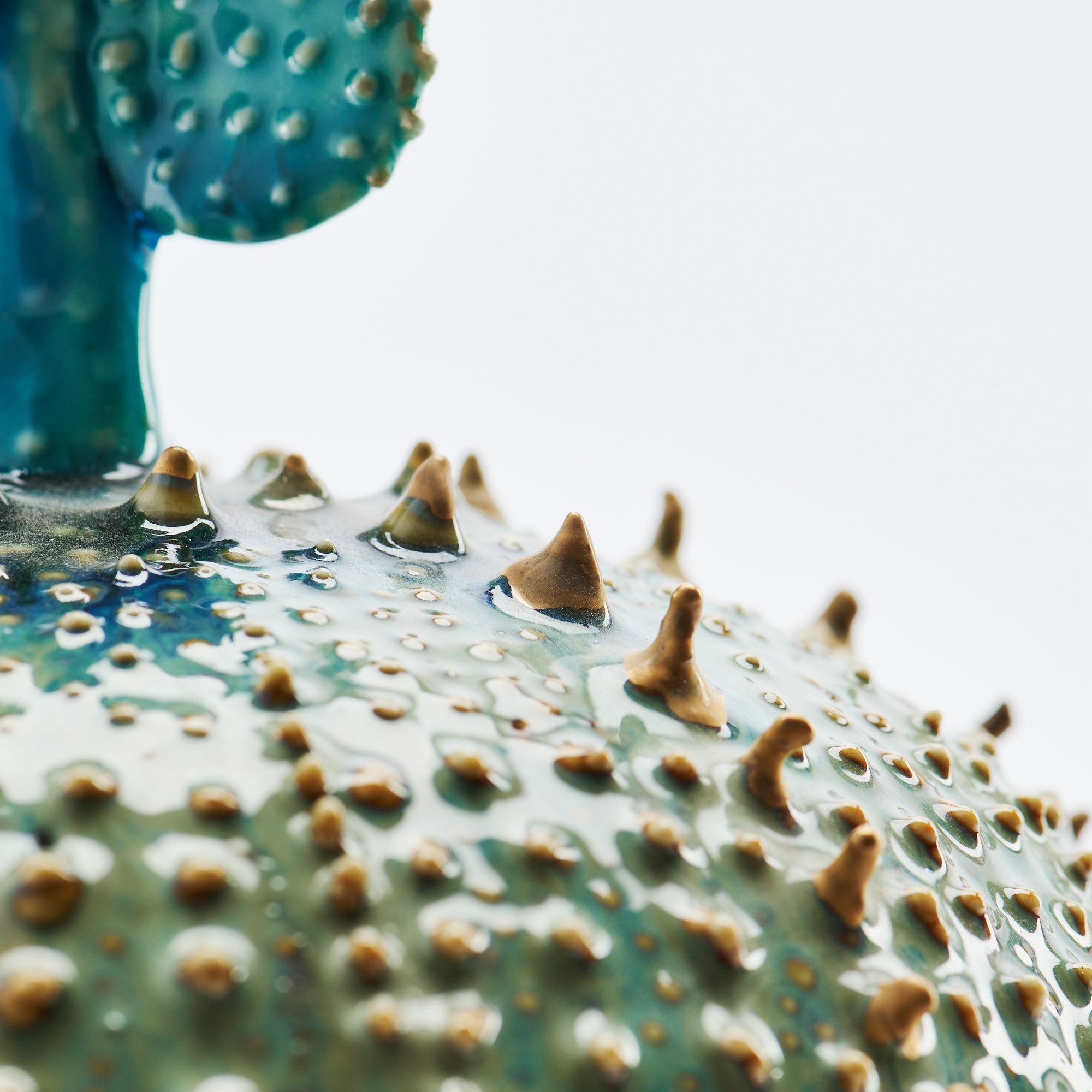 Marine Textures Objet d'Art 22