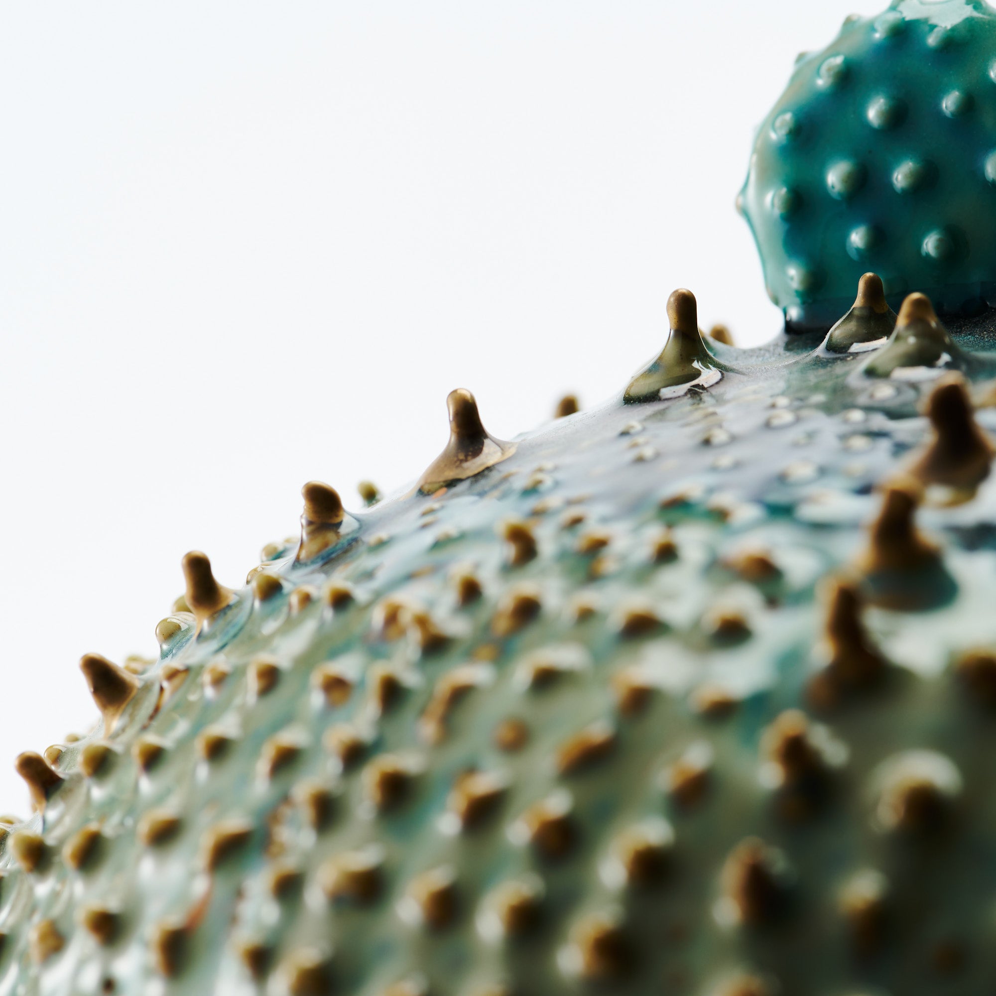 Marine Textures Objet d'Art 22