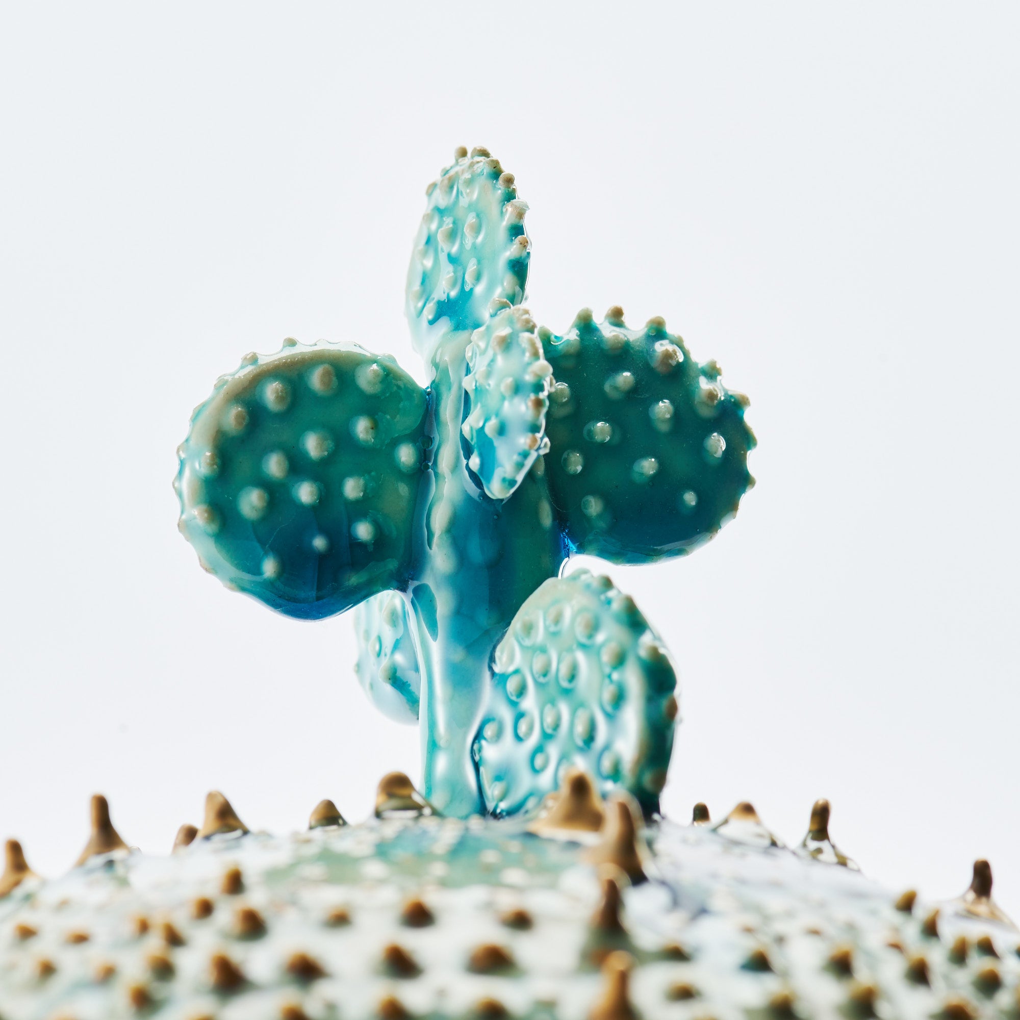 Marine Textures Objet d'Art 22