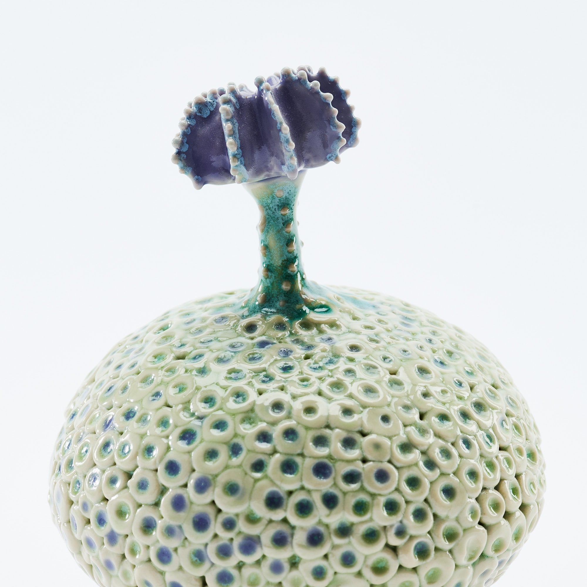 Botanical Textures Objet d'Art 14