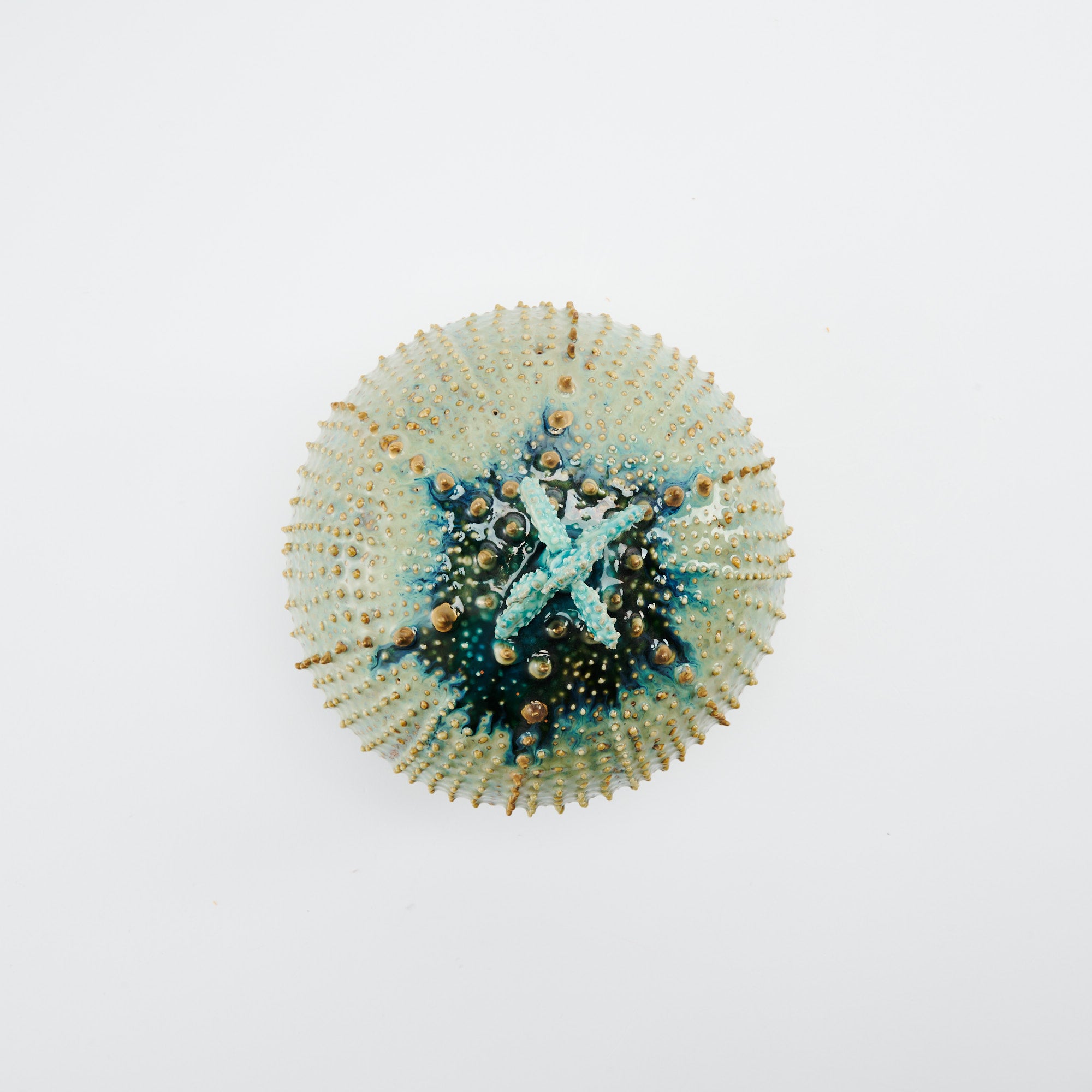 Marine Textures Objet d'Art 22