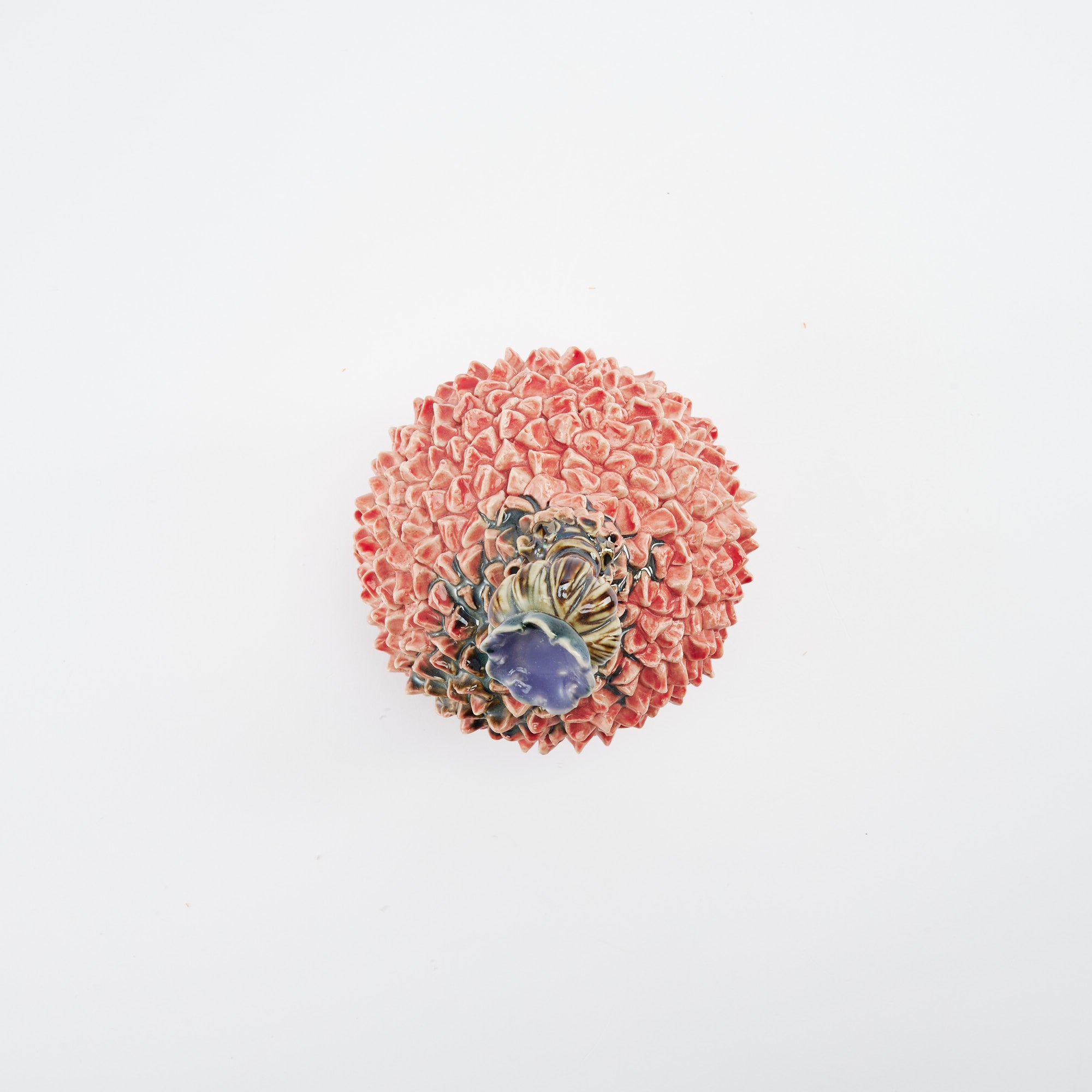 Botanical Textures Objet d'Art 19