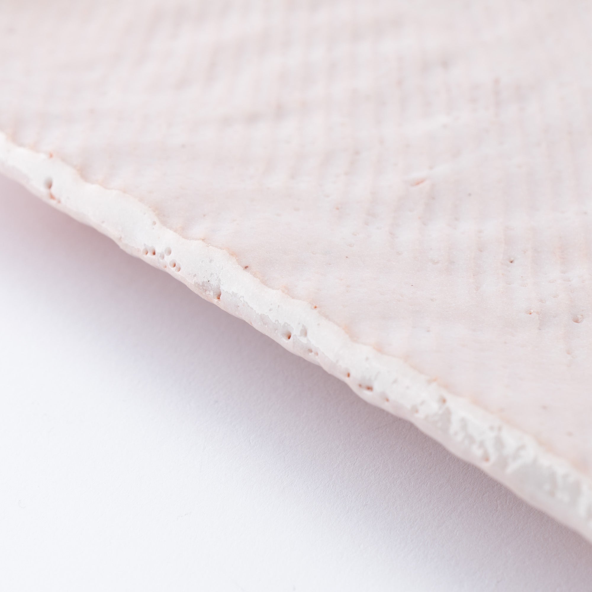 Shino Blush Footed Rectangle Dinner Plate