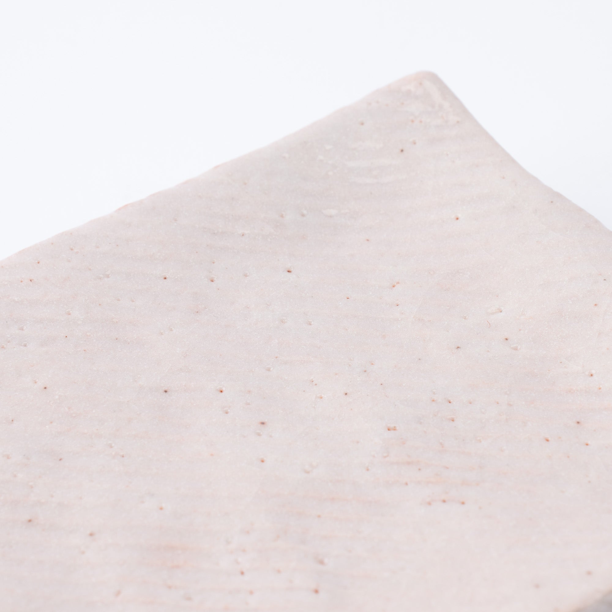 Shino Blush Footed Rectangle Dinner Plate