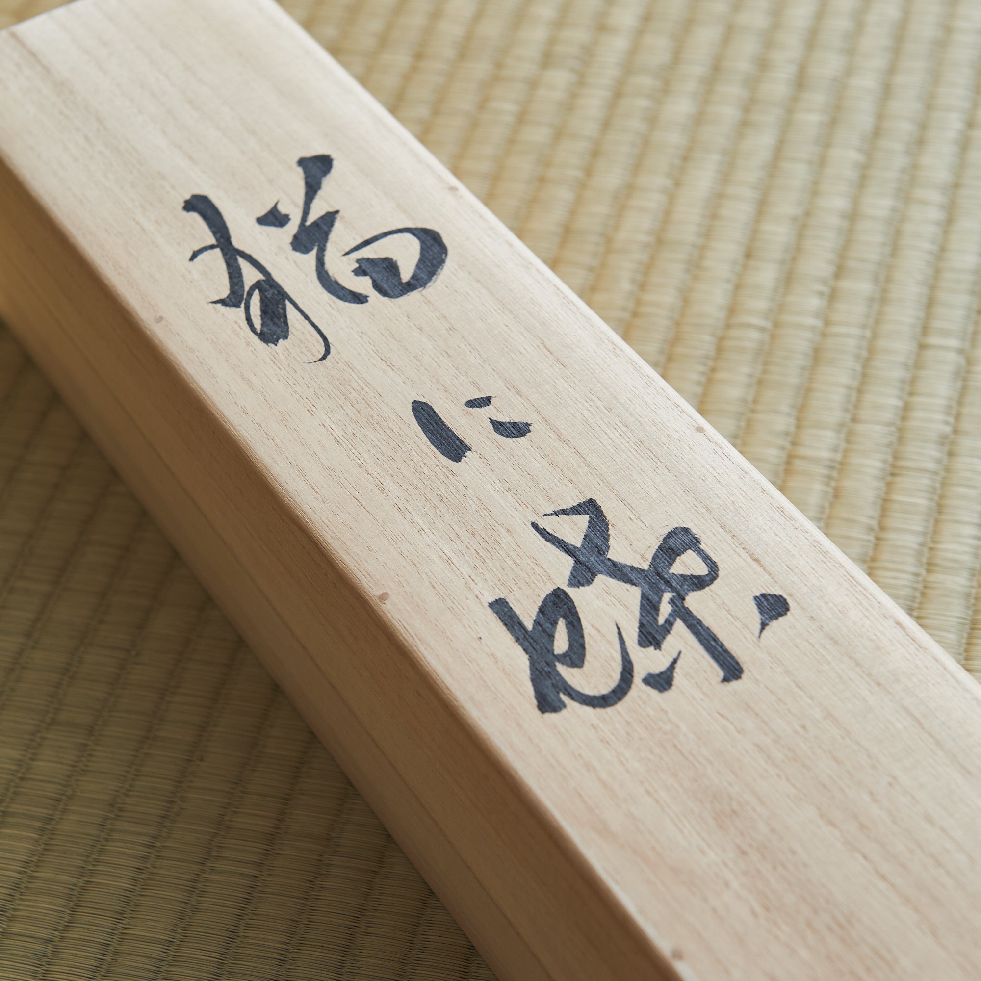 Cat and Butterfly Kakejiku Hanging Scroll