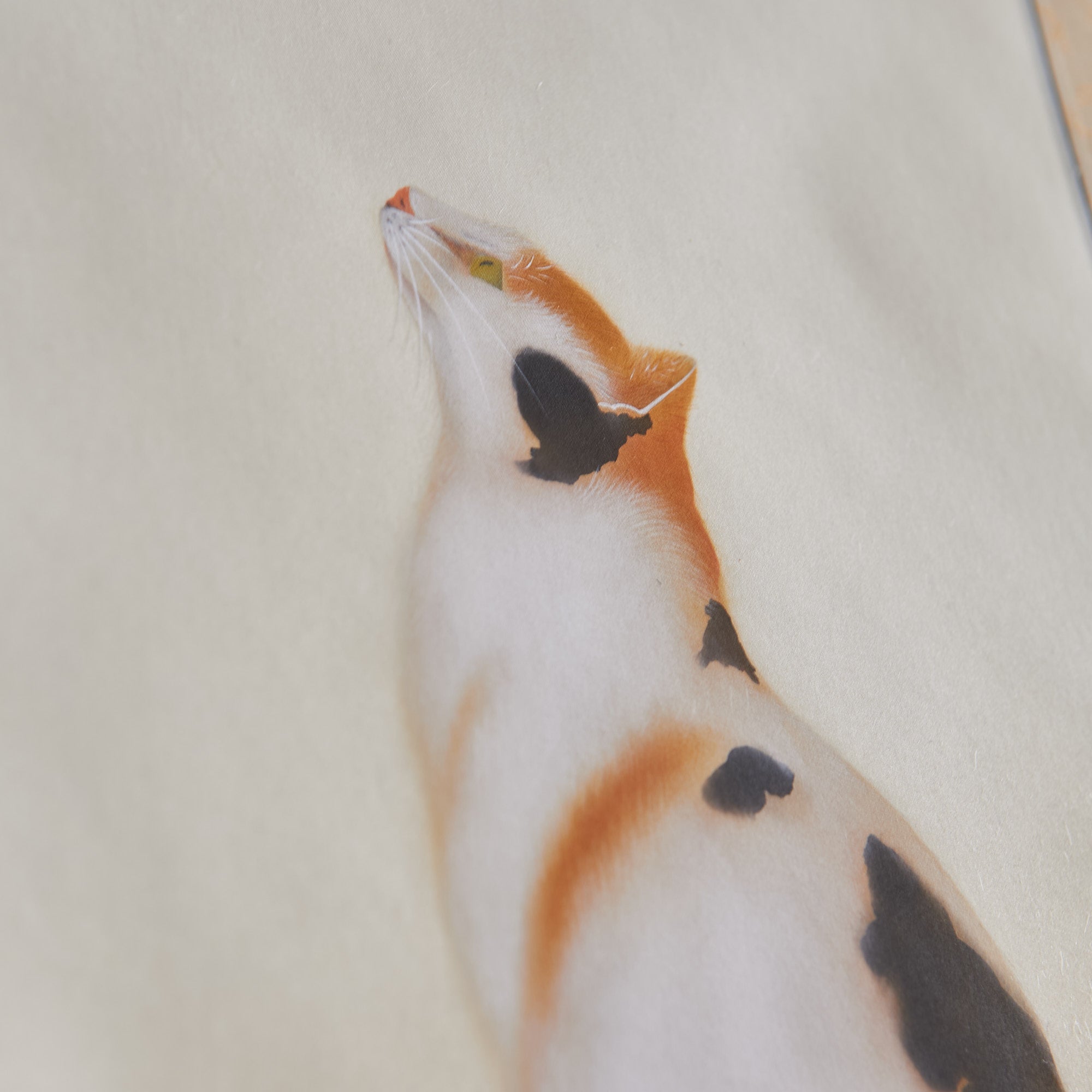 Cat and Butterfly Kakejiku Hanging Scroll