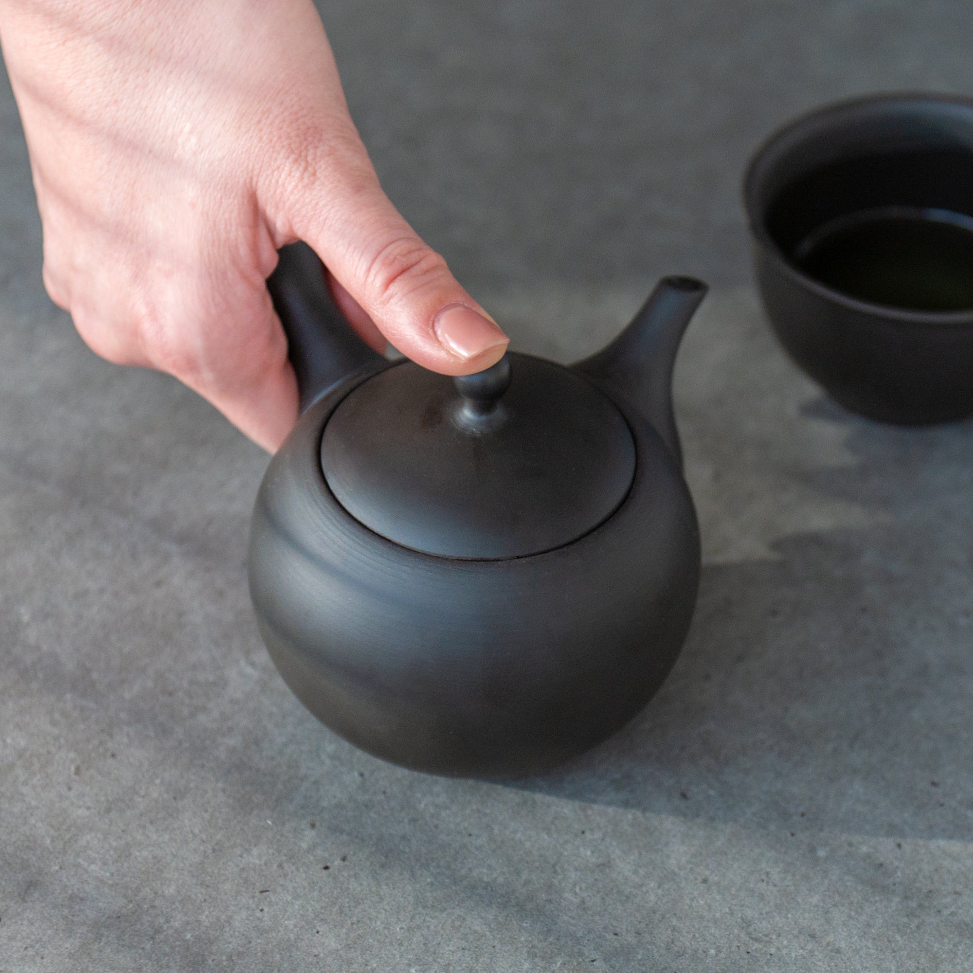 IROIRO Japanese Teapot