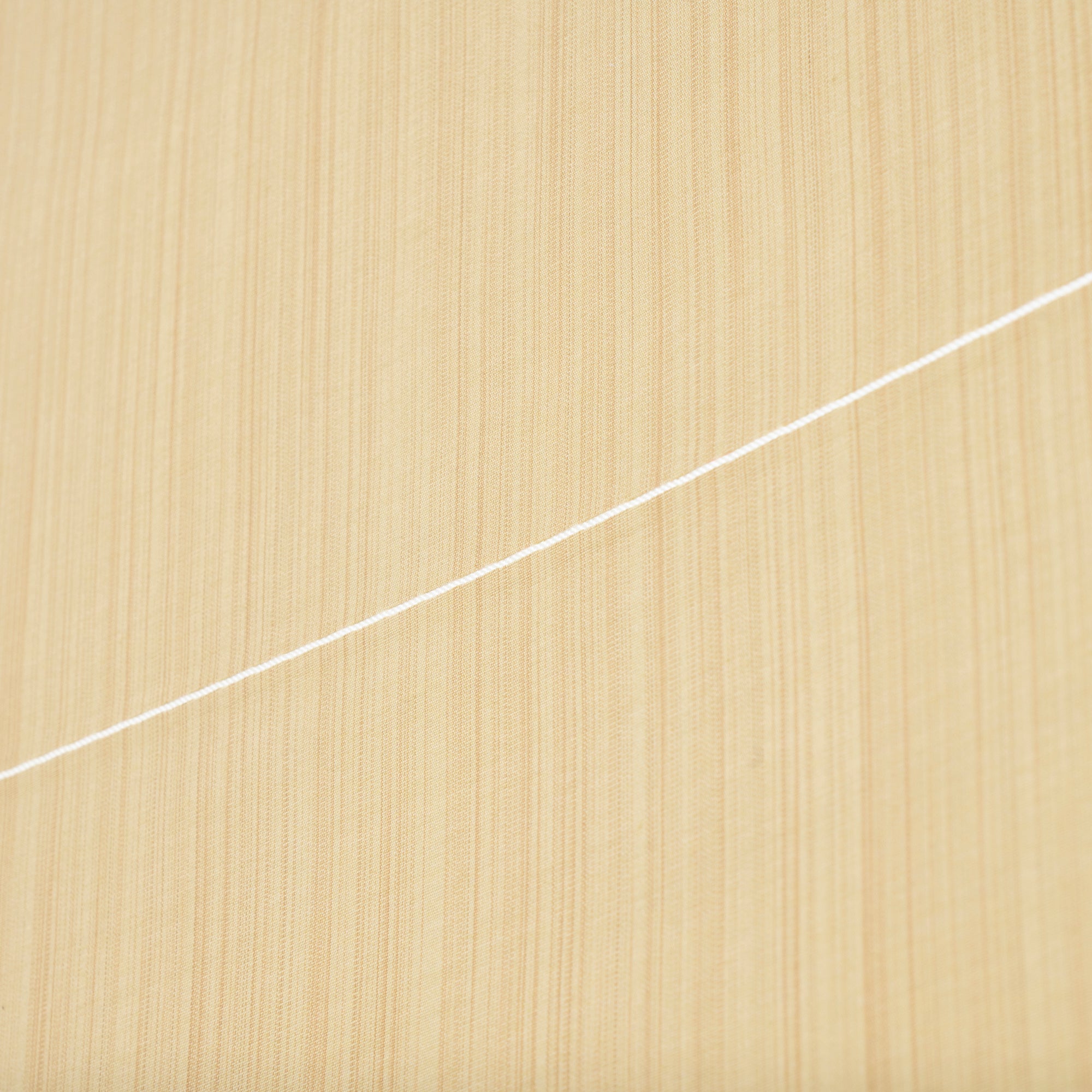 Sparrows and Bamboo with Calligraphy Kakejiku Hanging Scroll